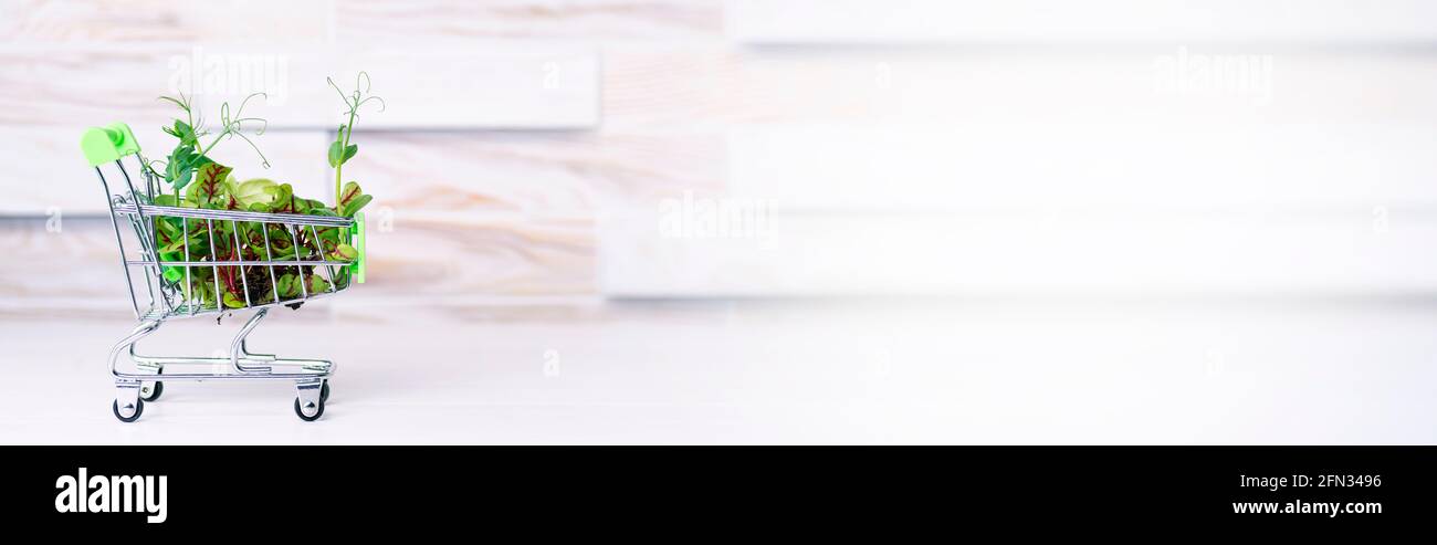 Liefer- und Kaufkonzept von frischen Öko Micro Greens, jungen Micro Greens im Warenkorb auf einem Holztisch, Bannerfoto. Stockfoto