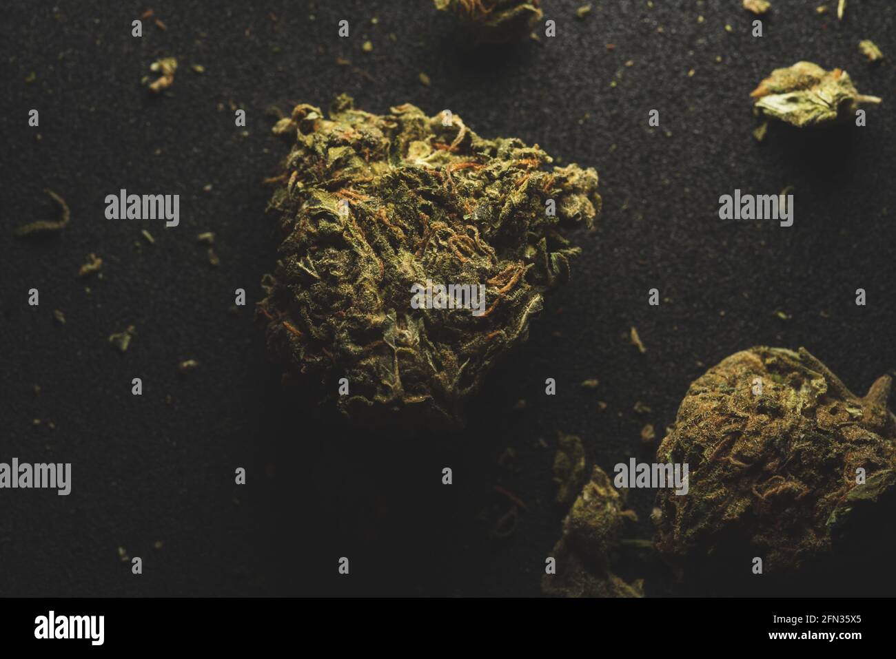 Makro Nahaufnahme Porträt von Mango Kush Cannabis Marihuana trockene Knospen, selektiver Fokus Stockfoto