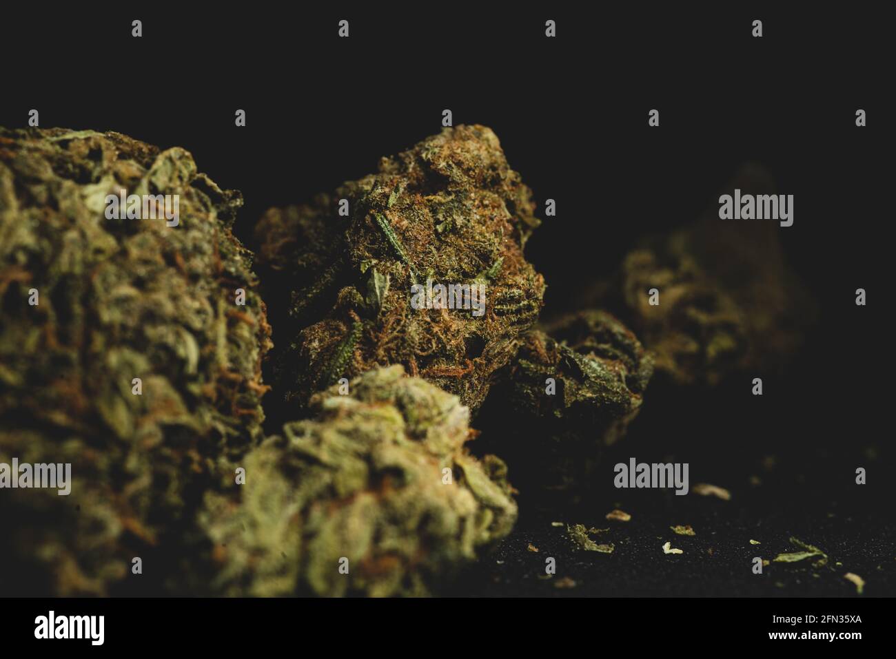 Makro Nahaufnahme Porträt von Mango Kush Cannabis Marihuana trockene Knospen, selektiver Fokus Stockfoto