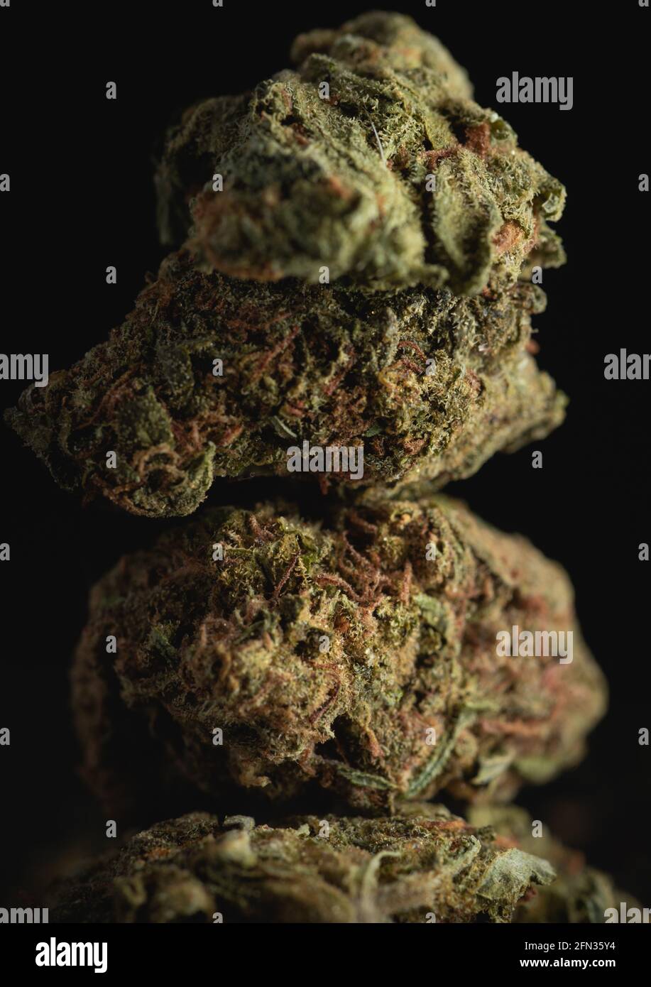 Makro Nahaufnahme Porträt von Mango Kush Cannabis Marihuana trockene Knospen, selektiver Fokus Stockfoto