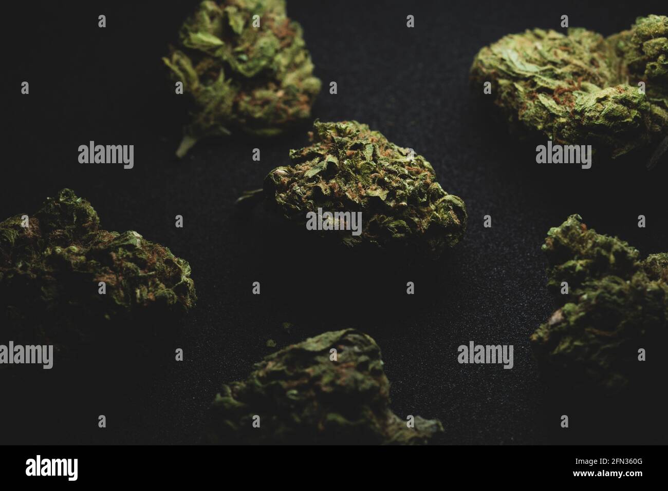 Makro-Nahaufnahme Porträt von Sweet Island Cannabis Marihuana trockene Knospen, selektiver Fokus Stockfoto
