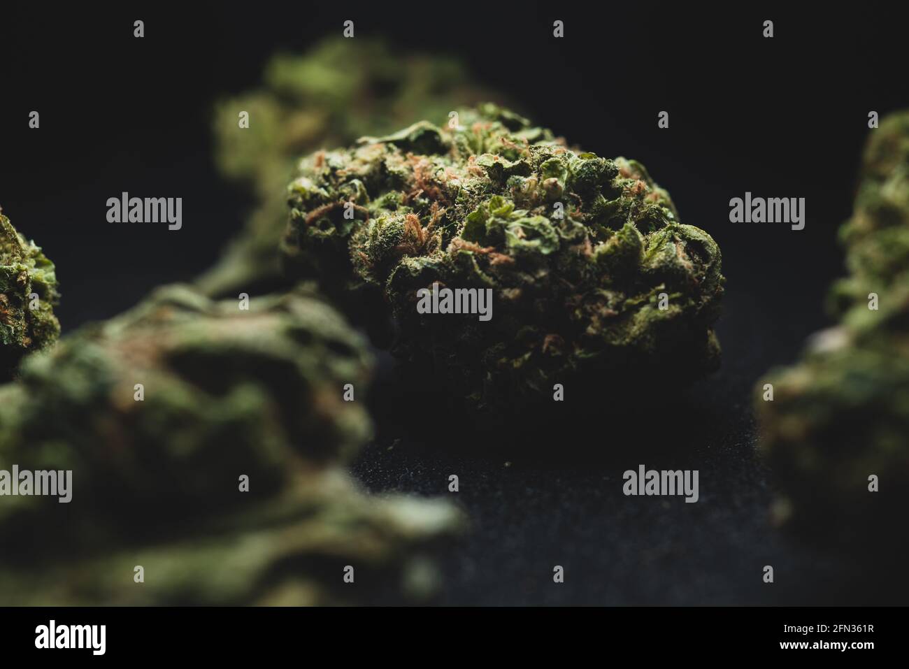 Makro-Nahaufnahme Porträt von Sweet Island Cannabis Marihuana trockene Knospen, selektiver Fokus Stockfoto
