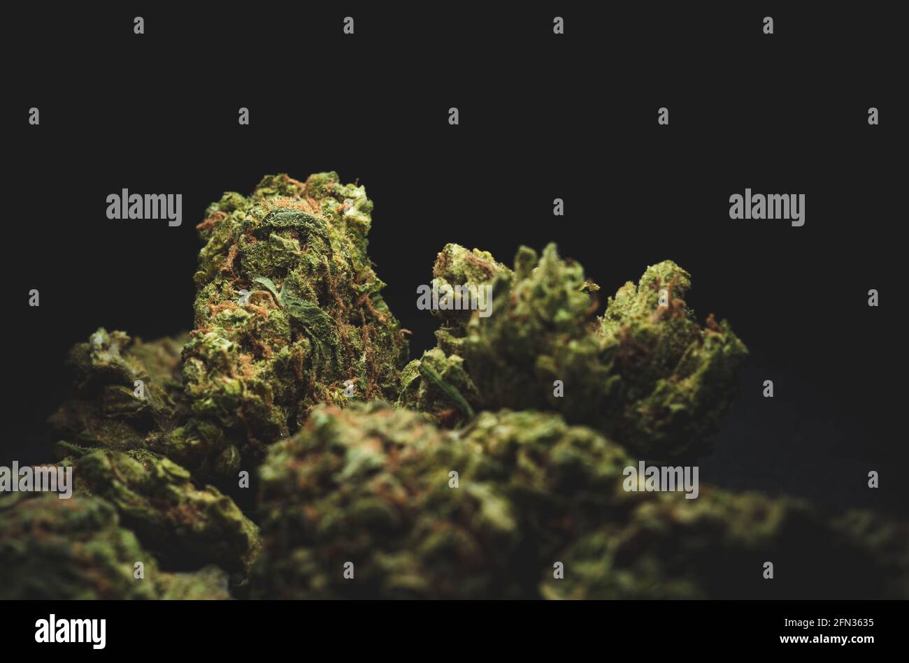 Makro-Nahaufnahme Porträt von Sweet Island Cannabis Marihuana trockene Knospen, selektiver Fokus Stockfoto