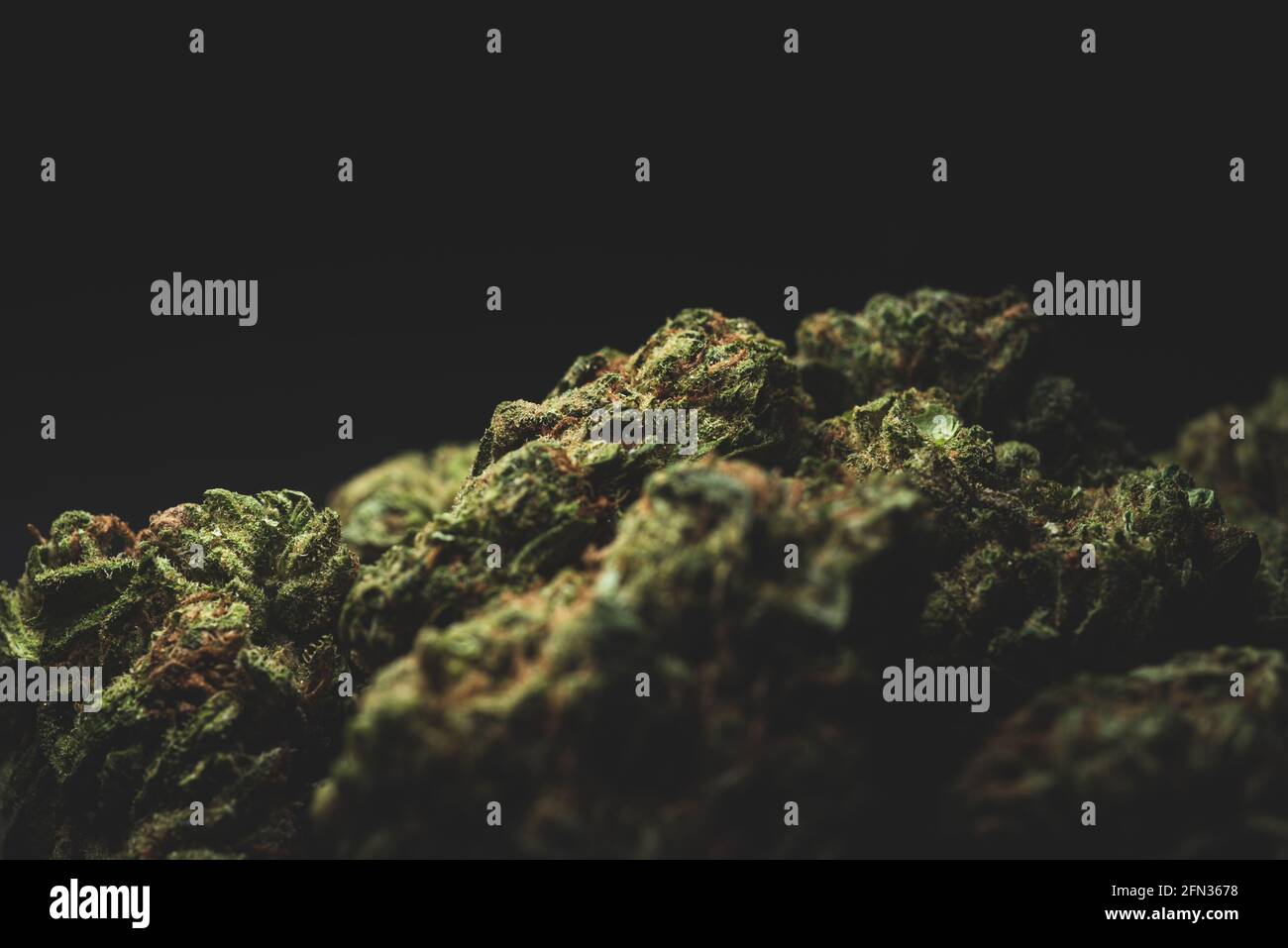 Makro-Nahaufnahme Porträt von Sweet Island Cannabis Marihuana trockene Knospen, selektiver Fokus Stockfoto