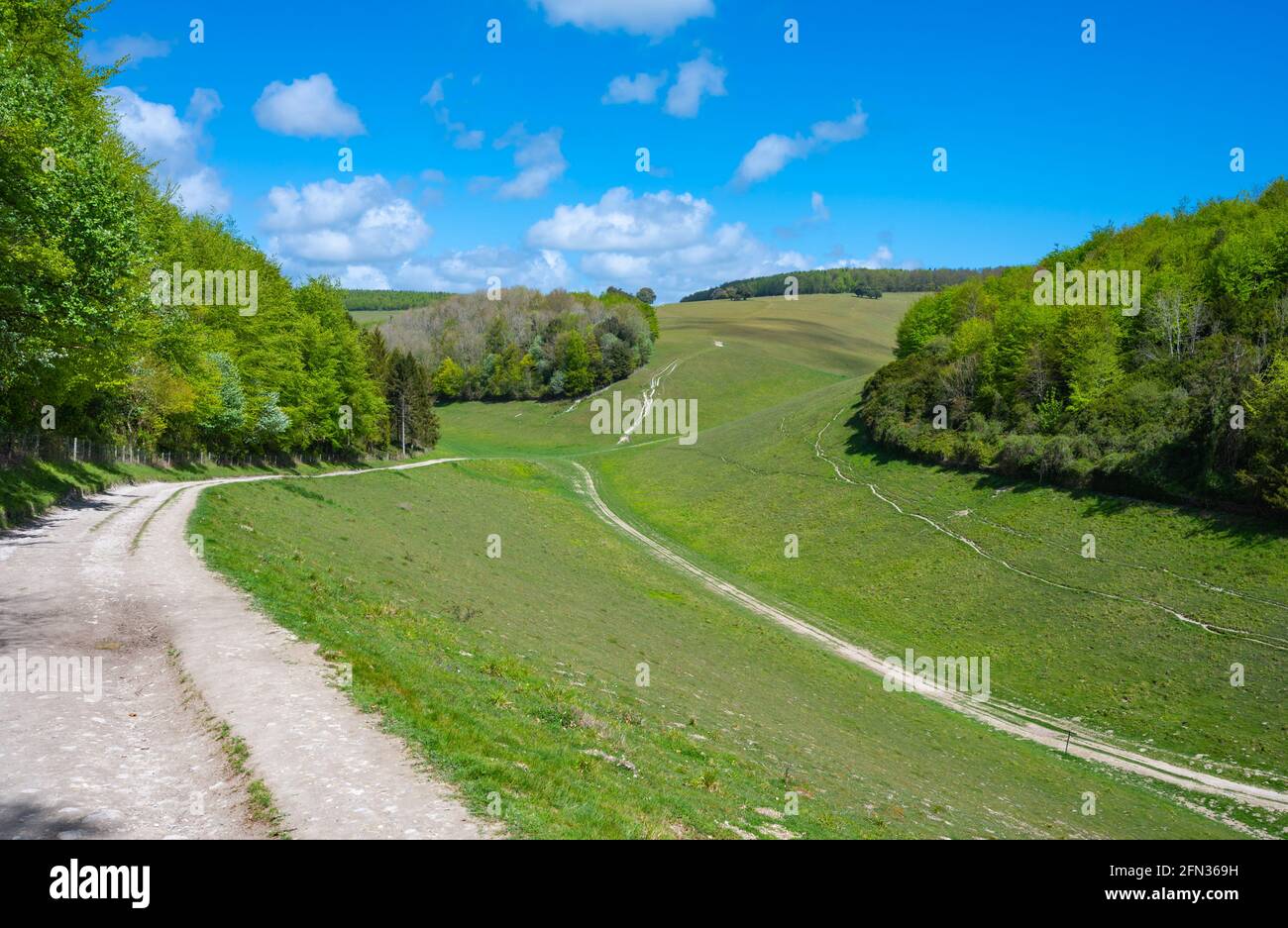 Hügel und Täler, die Monarch im Frühling zeigen, im Arundel Park, South Downs National Park, einem Gebiet von außergewöhnlicher natürlicher Schönheit in West Sussex, Großbritannien. Stockfoto