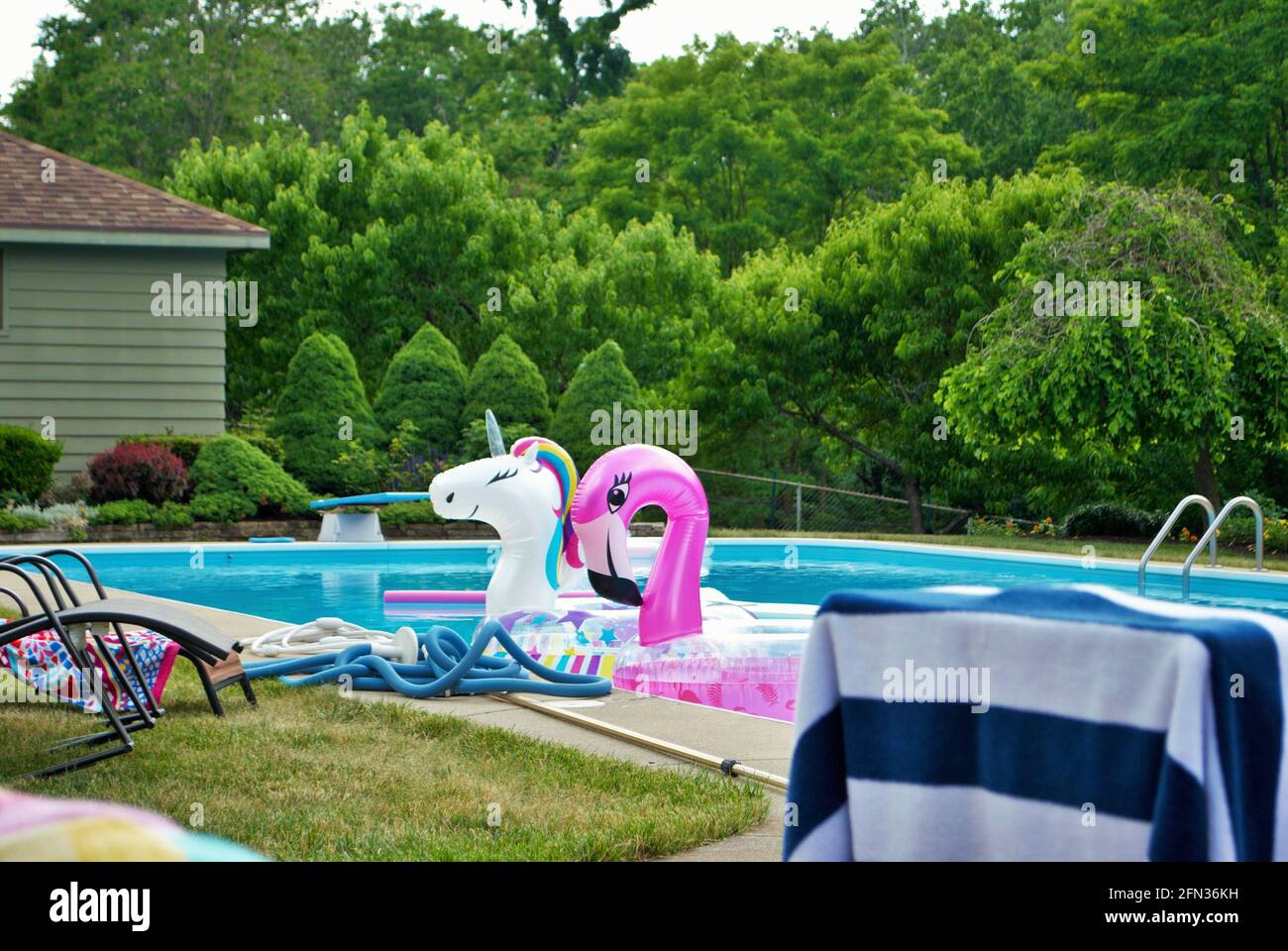 einhorn und rosa Flamingo aufblasbar schwimmend in einem Hinterhof schwimmen Pool Stockfoto