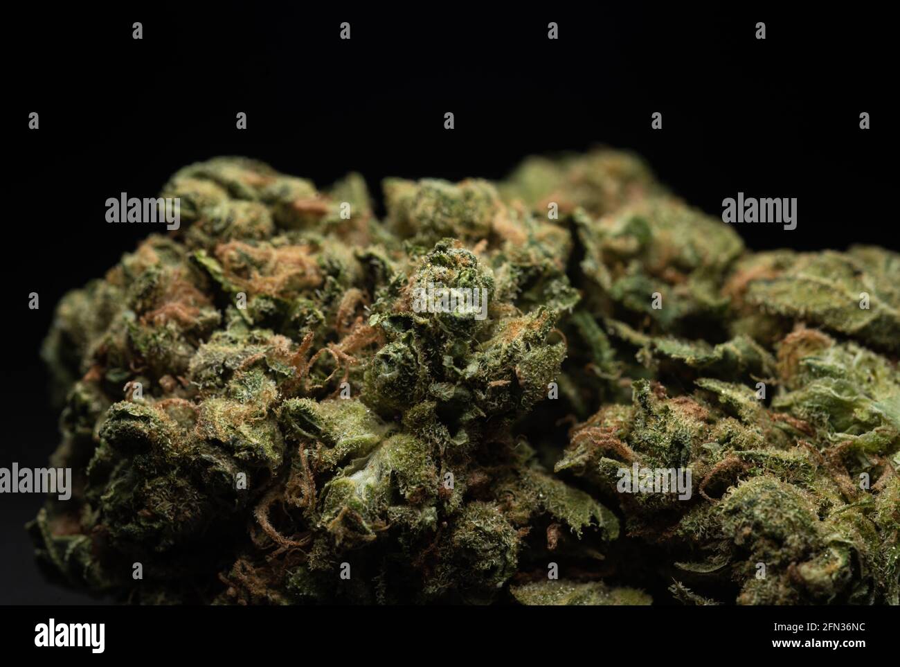 Makro-Nahaufnahme Porträt von Amnesia Cannabis Marijuana trockene Knospen, selektiver Fokus Stockfoto