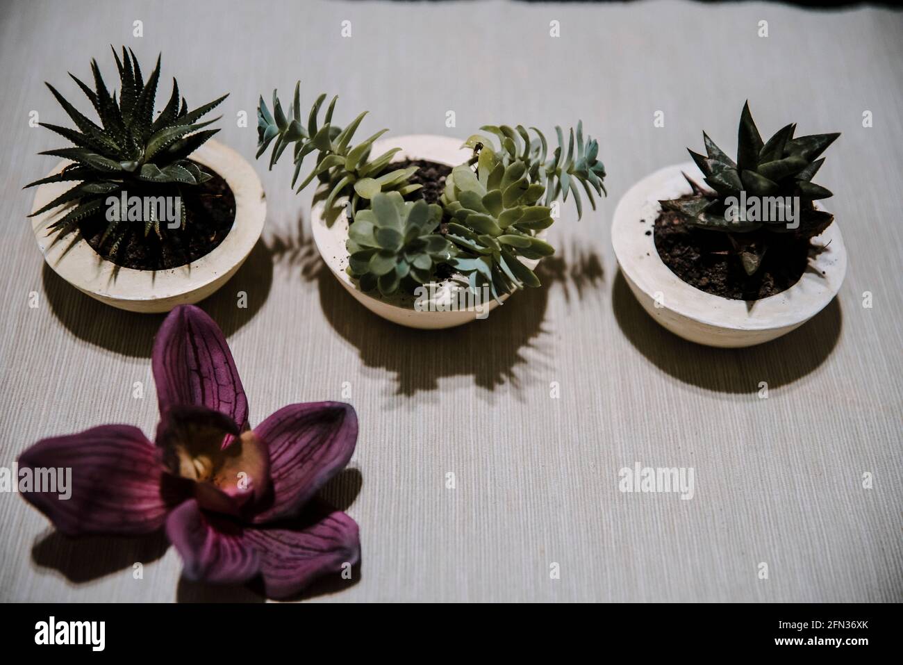 Duftkerzen von verschiedenen Geschmack, um Ihr Zuhause, Bad, Partytisch zu schmücken. Stockfoto