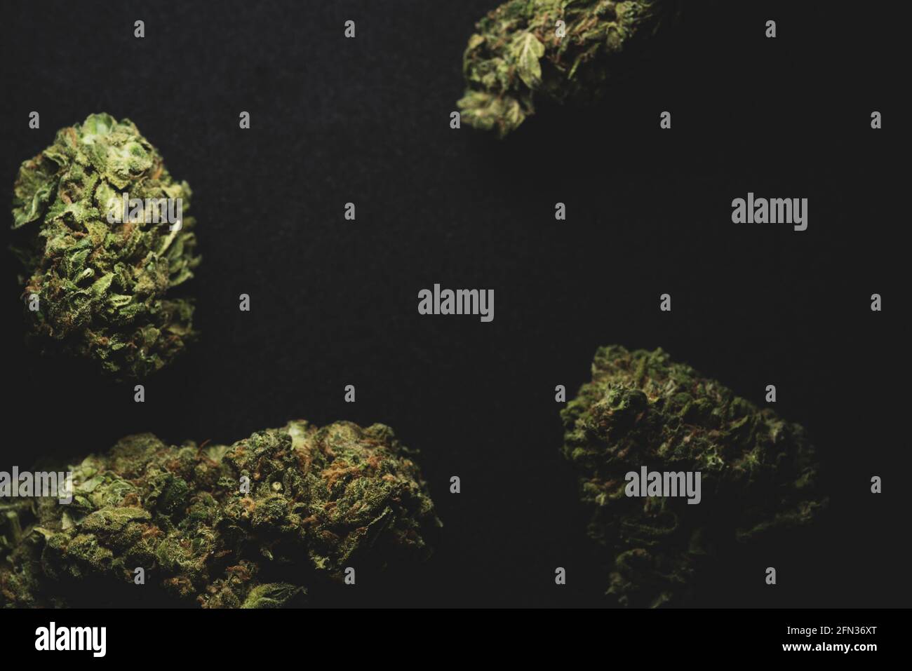 Makro-Nahaufnahme Porträt von Amnesia Cannabis Marijuana trockene Knospen, selektiver Fokus Stockfoto