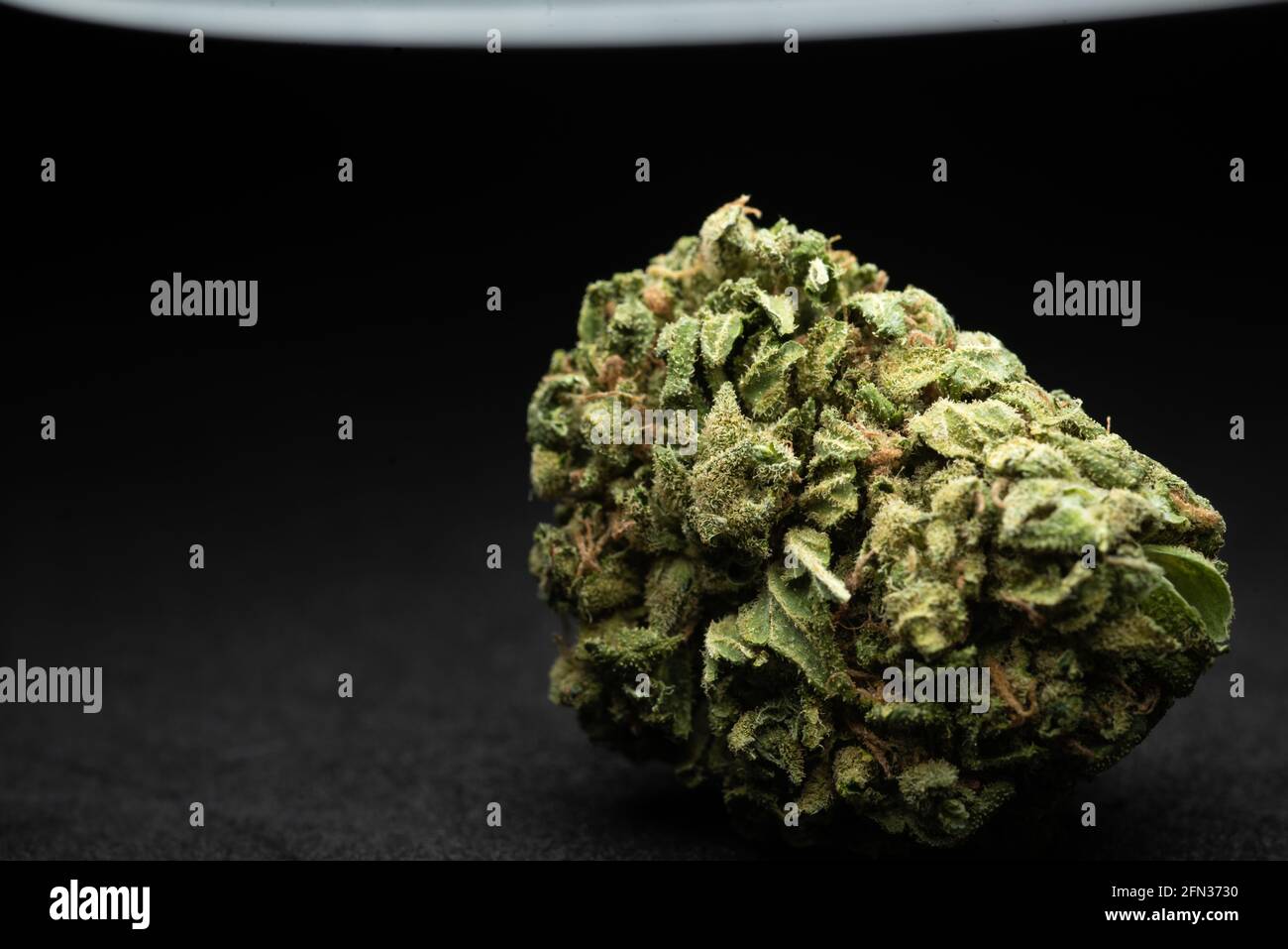 Makro-Nahaufnahme Porträt von Amnesia Cannabis Marijuana trockene Knospen, selektiver Fokus Stockfoto