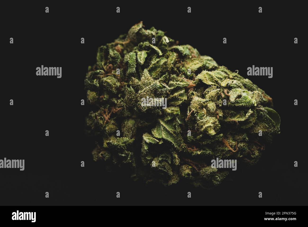 Makro-Nahaufnahme Porträt von Amnesia Cannabis Marijuana trockene Knospen, selektiver Fokus Stockfoto