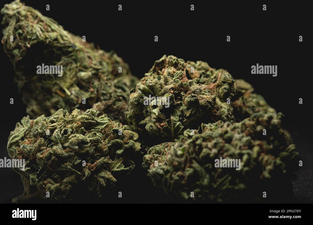 Makro-Nahaufnahme Porträt von Amnesia Cannabis Marijuana trockene Knospen, selektiver Fokus Stockfoto