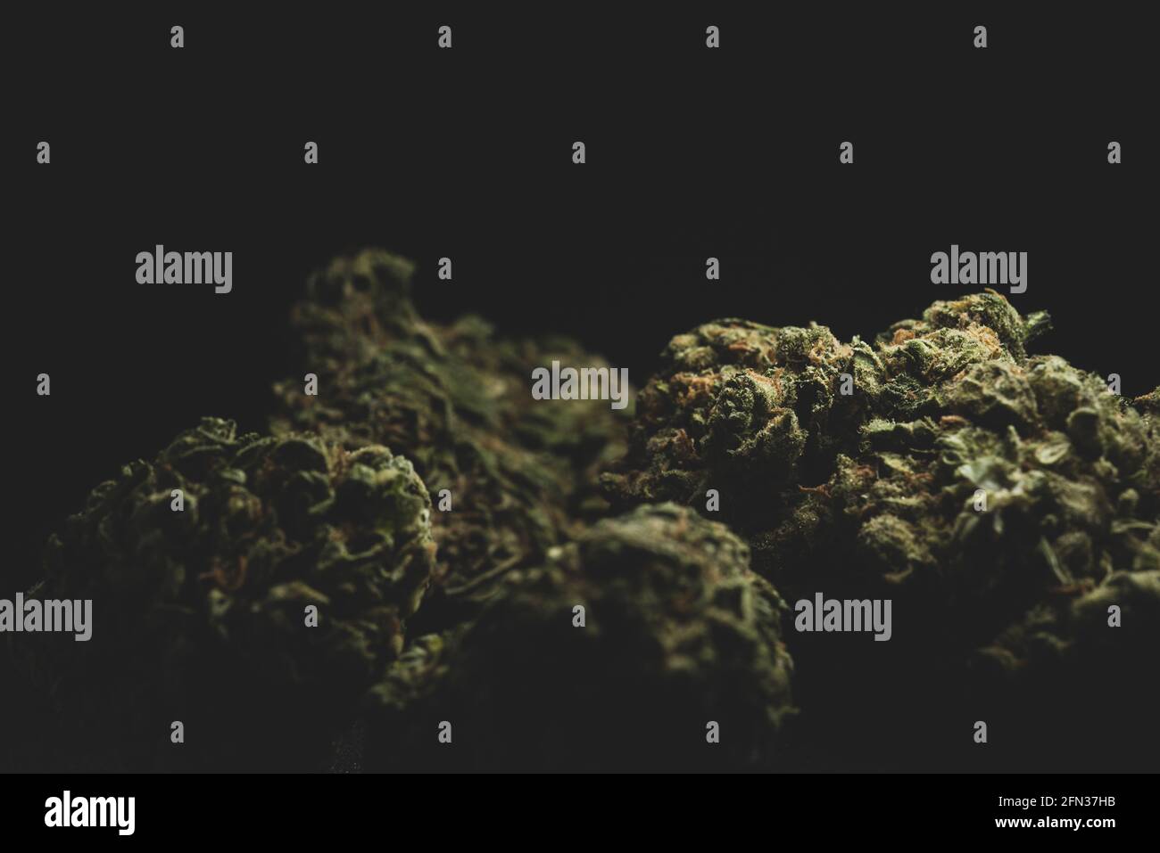 Makro-Nahaufnahme Porträt von Amnesia Cannabis Marijuana trockene Knospen, selektiver Fokus Stockfoto