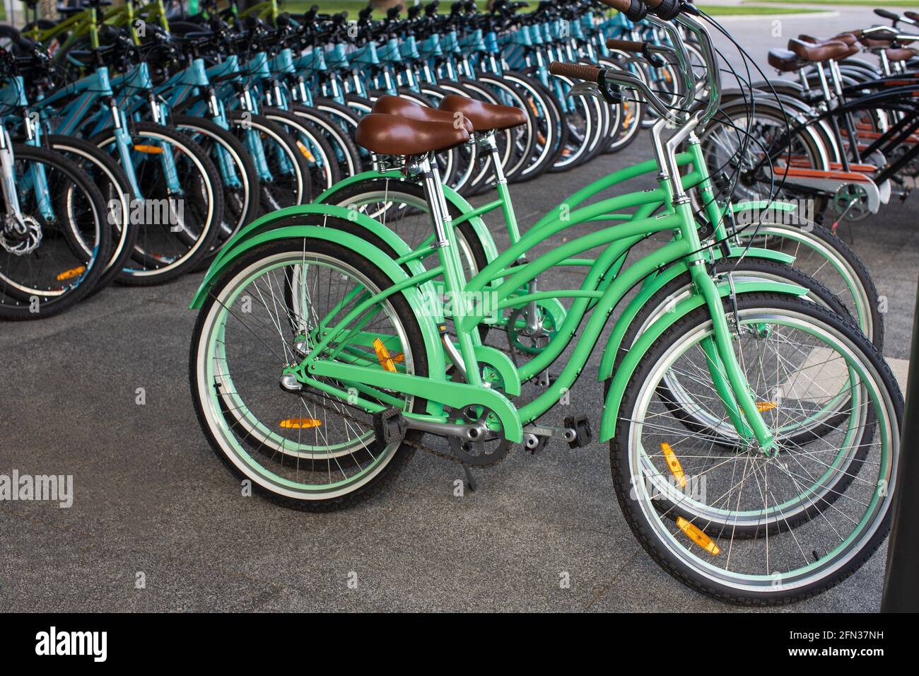 Fahrradverleih in einem öffentlichen Park oder Geschäft. Viele Fahrräder sind in einer Reihe, moderne Modelle im Retro-Stil, pastellgrün. Grünes Transportkonzept, alternativ Stockfoto