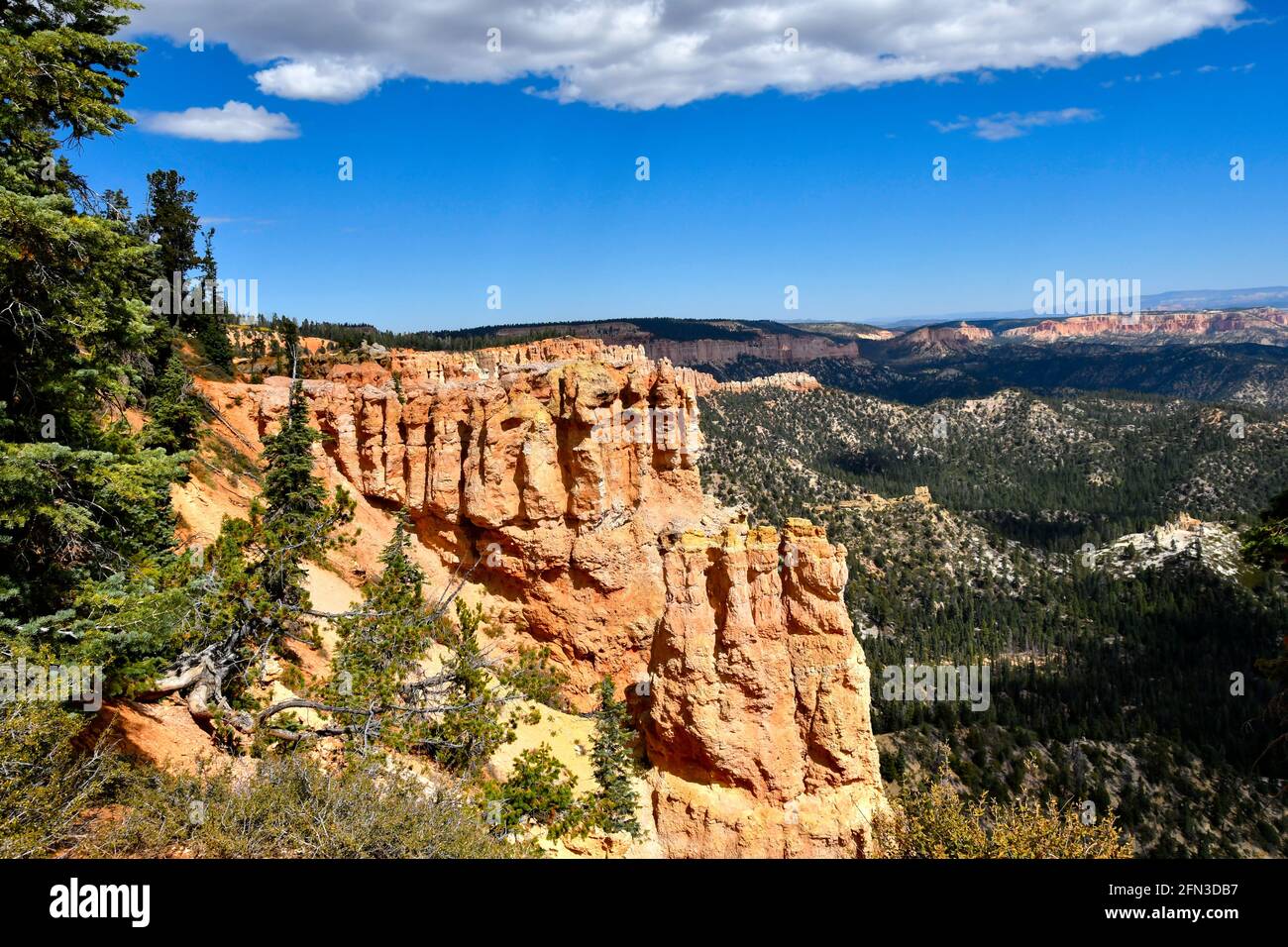 Red Hoodoos im Black Birch Canyon, Bryce Canyon National Park, Utah. Stockfoto