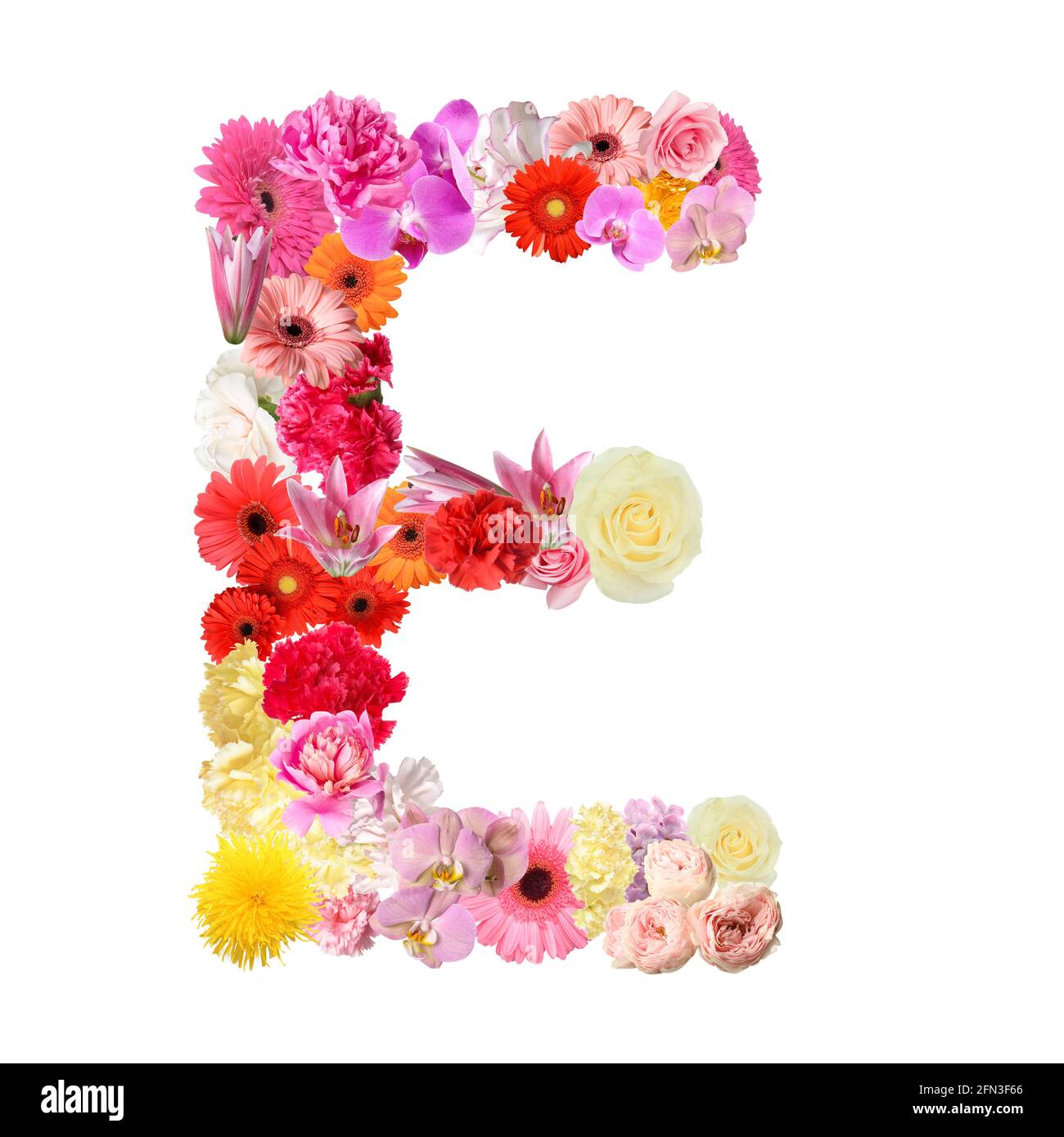 Buchstabe E aus schönen Blumen auf weißem Hintergrund Stockfoto
