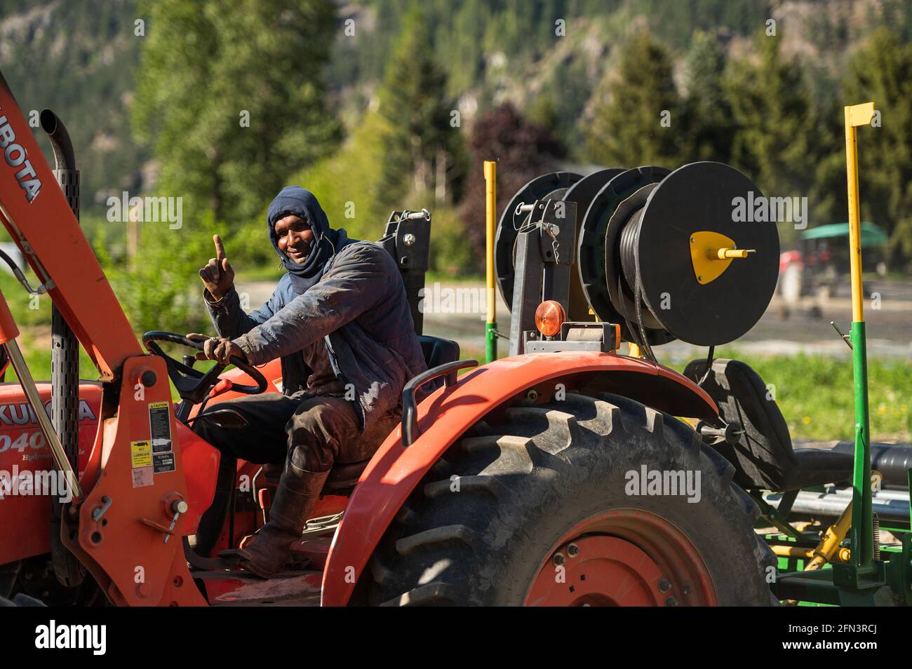 Ein jamaikanischer Landwirtschafts-Gastarbeiter fährt einen Traktor auf einer kanadischen Bio-Farm. Stockfoto