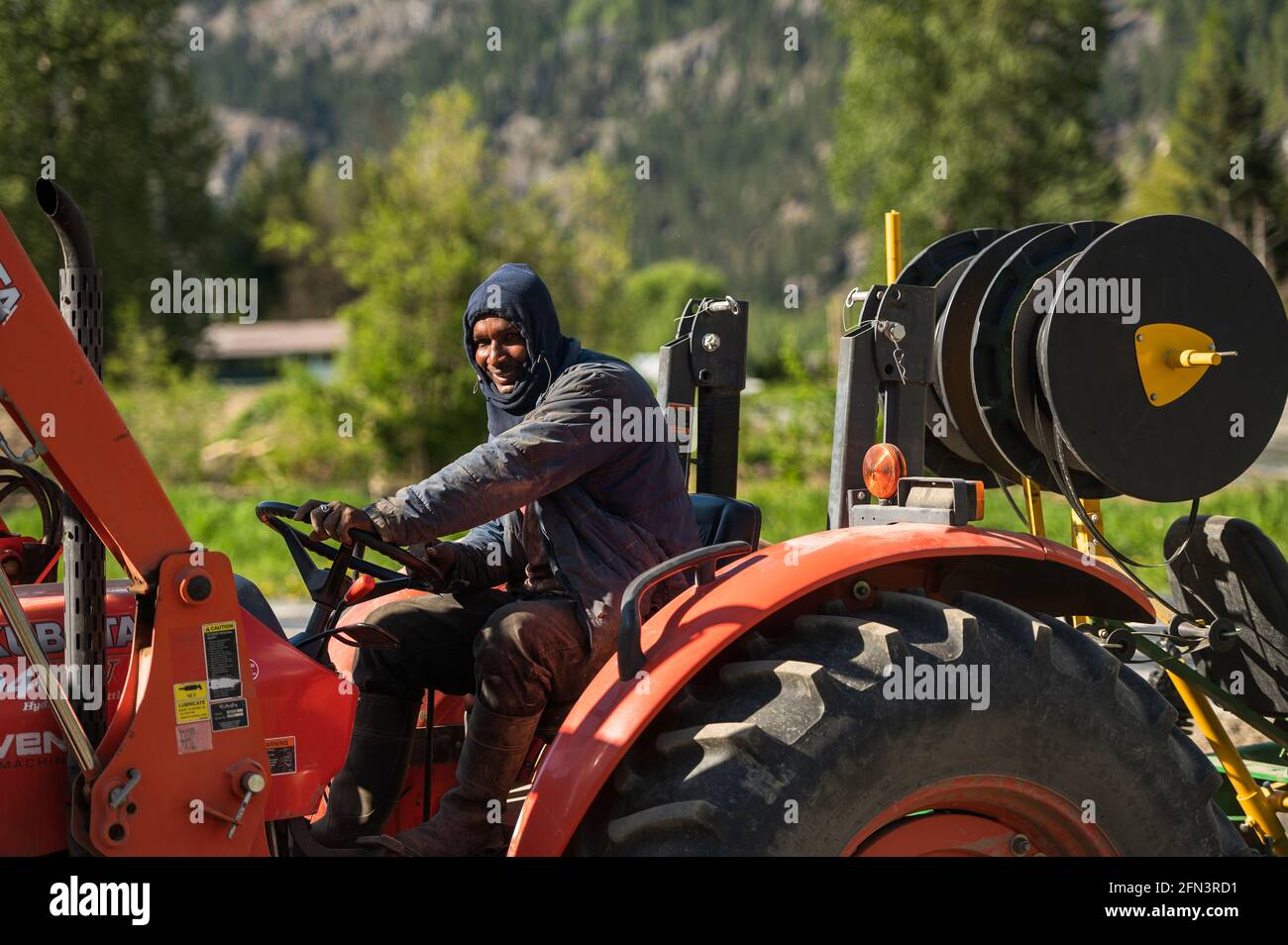 Ein jamaikanischer Landwirtschafts-Gastarbeiter fährt einen Traktor auf einer kanadischen Bio-Farm. Stockfoto