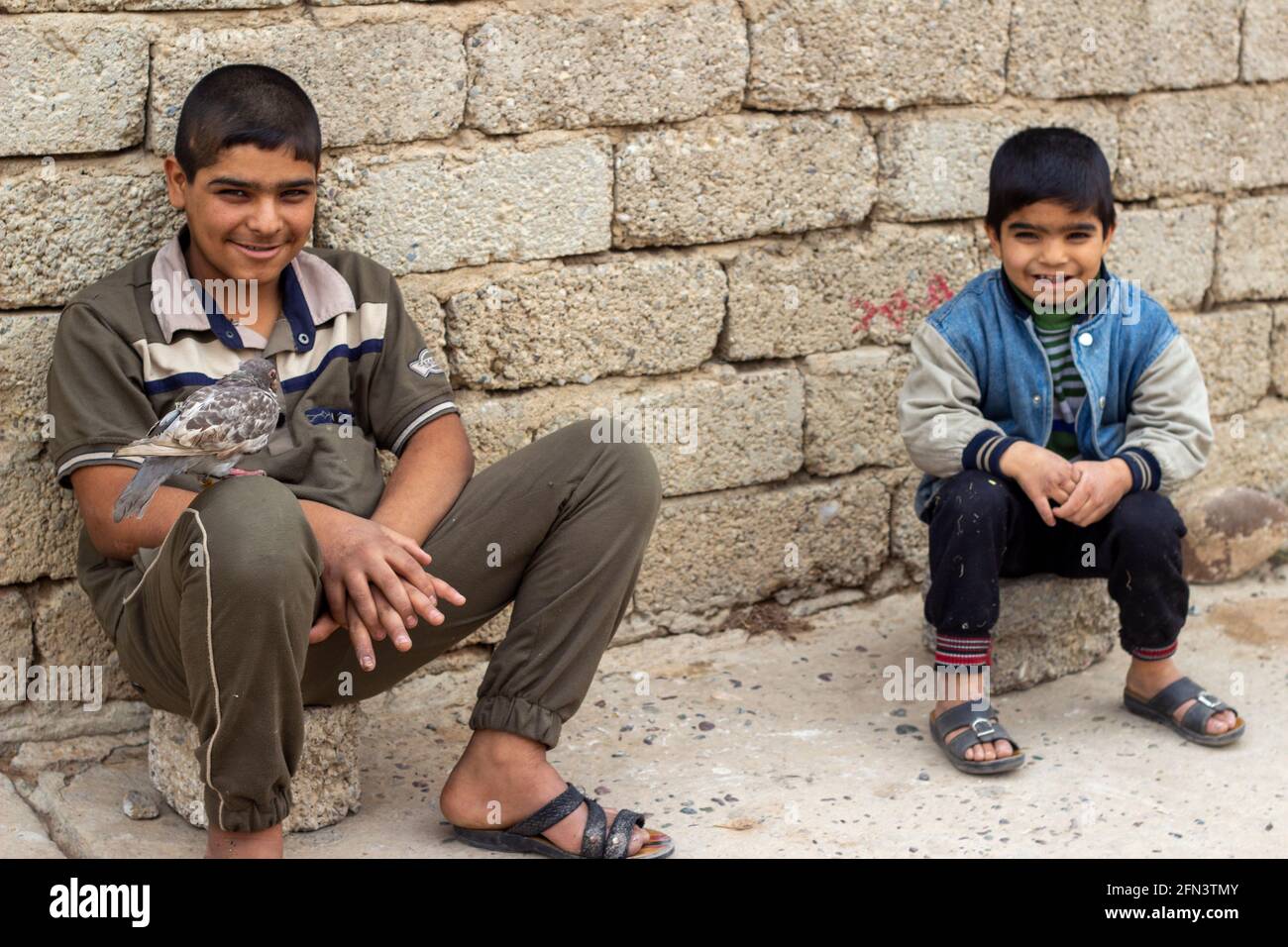 Zwei Jungen, die in den frühen Tagen der Operation Mosul im Distrikt Al Bakir in Ost-Mosul, Irak, mit einem Tiervögel am Straßenrand sitzen. Stockfoto