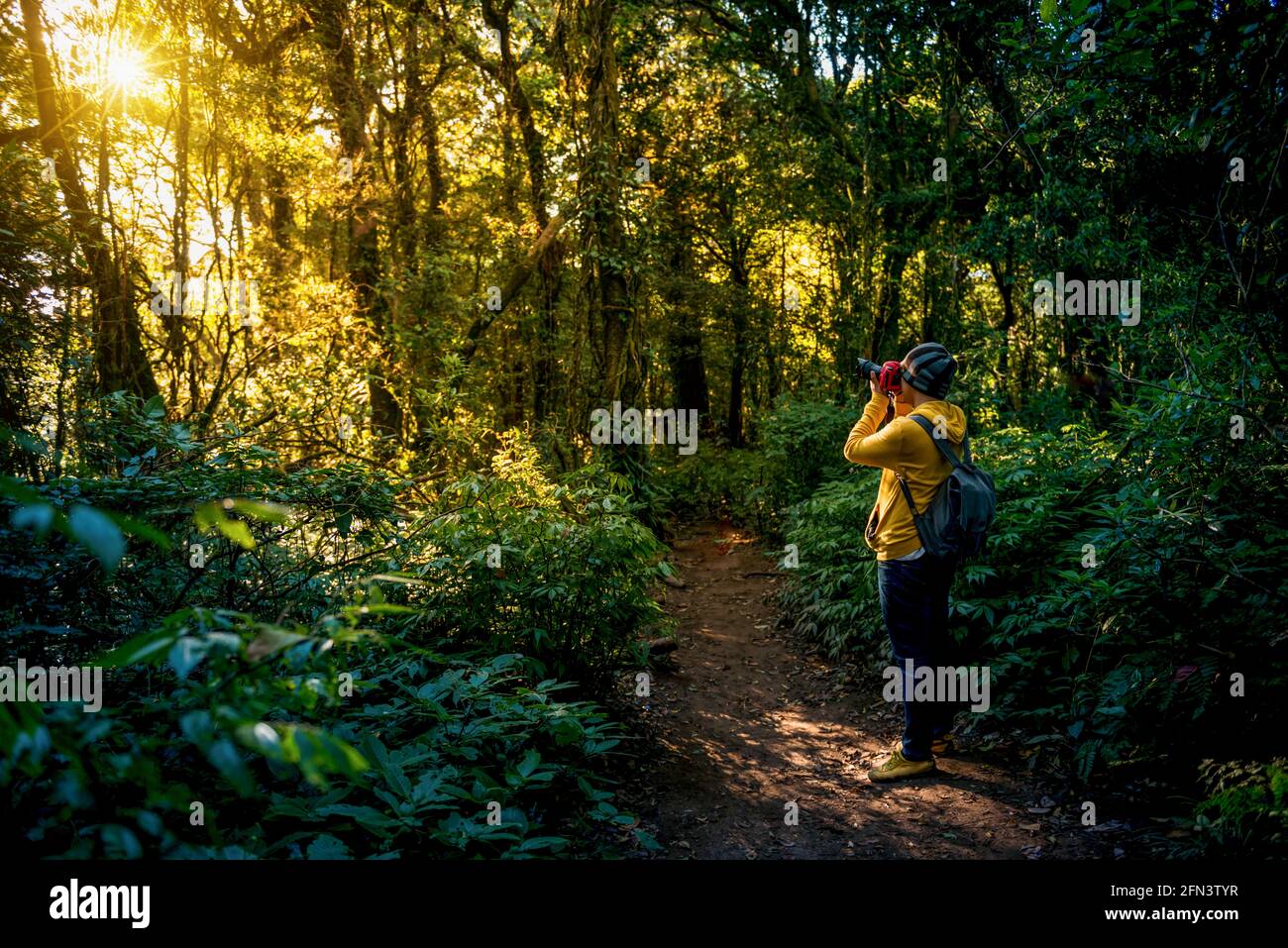 Professioneller Fotograf macht Fotos mit Kamera im Wald. Reisen, asien, Berg Stockfoto