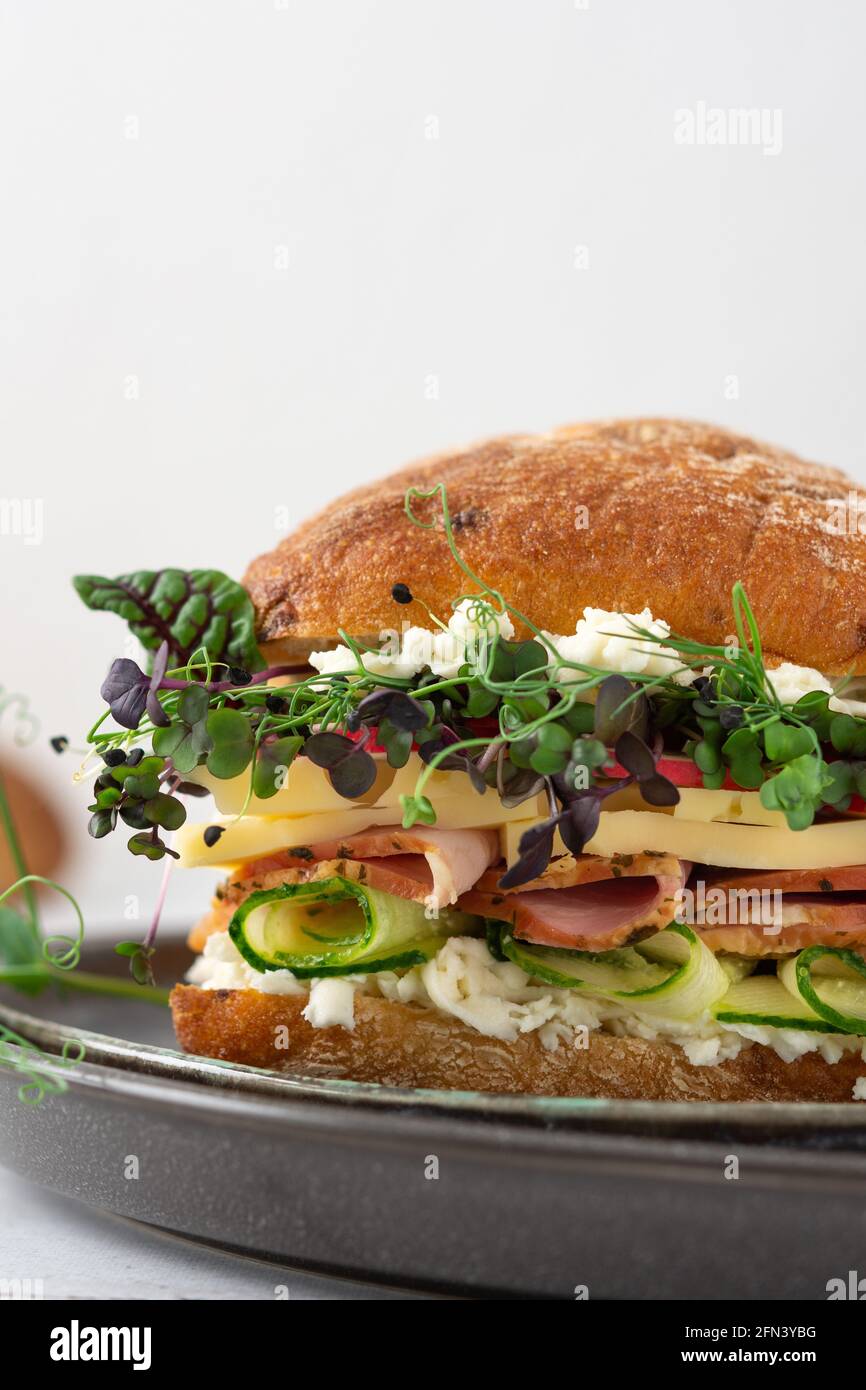 Brötchen mit Wurst, Käse und Gurken, Microgreens und Mozzarella und Radieschen, köstlicher herzhafter Burger aus nächster Nähe auf einem zu Hause gekochten Teller Stockfoto