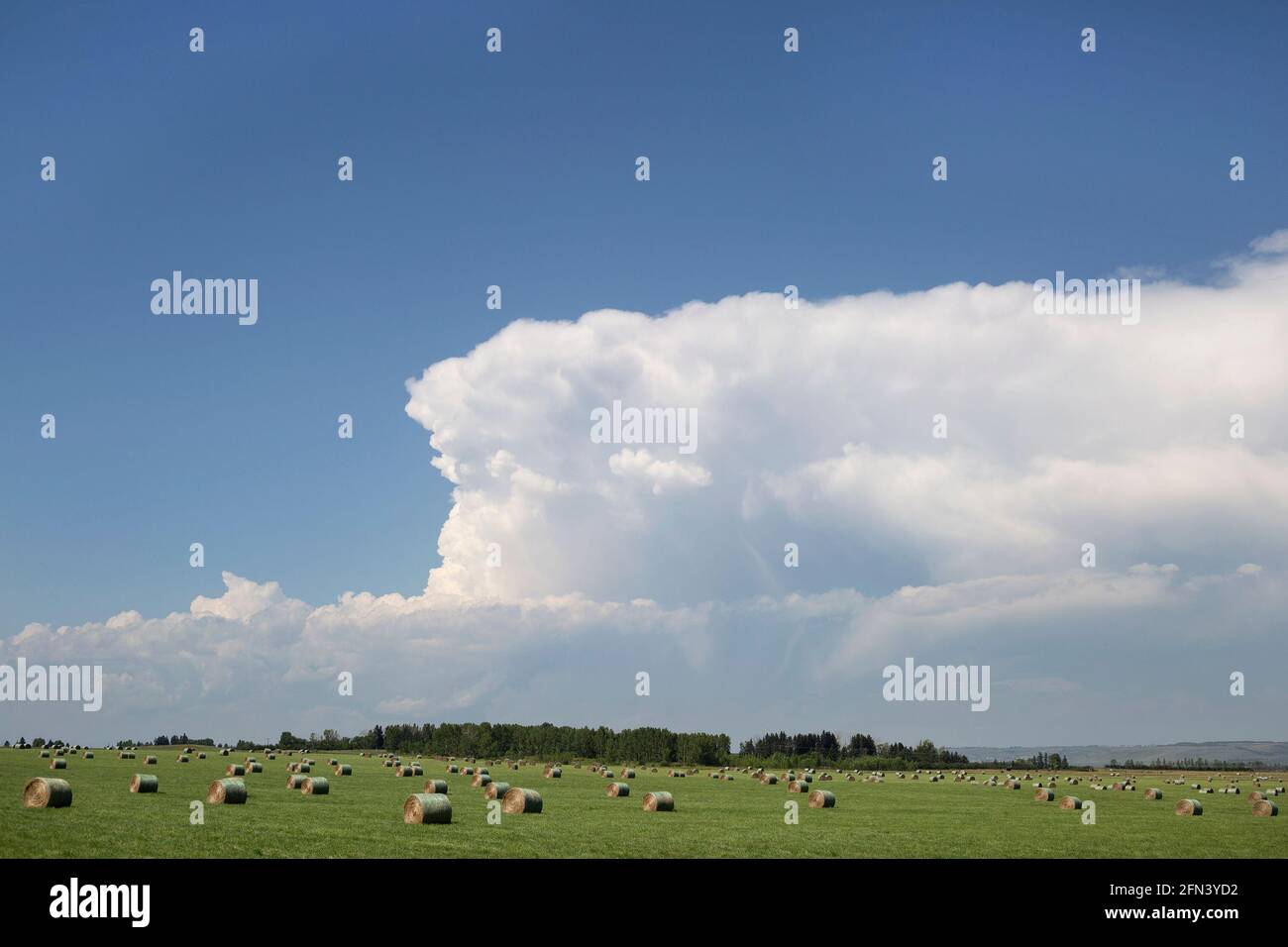 Blick auf landwirtschaftliche Flächen vom Trans Canada Highway mit Heuballen und blauem Himmel mit Wolken, Alberta, Kanada Stockfoto