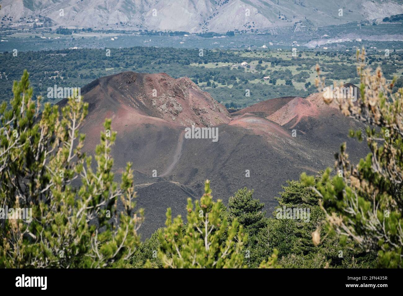 Blick in Sizilien auf einen Vulkankrater, lateraler Ausbruch von 1974 im Naturpark Ätna Stockfoto