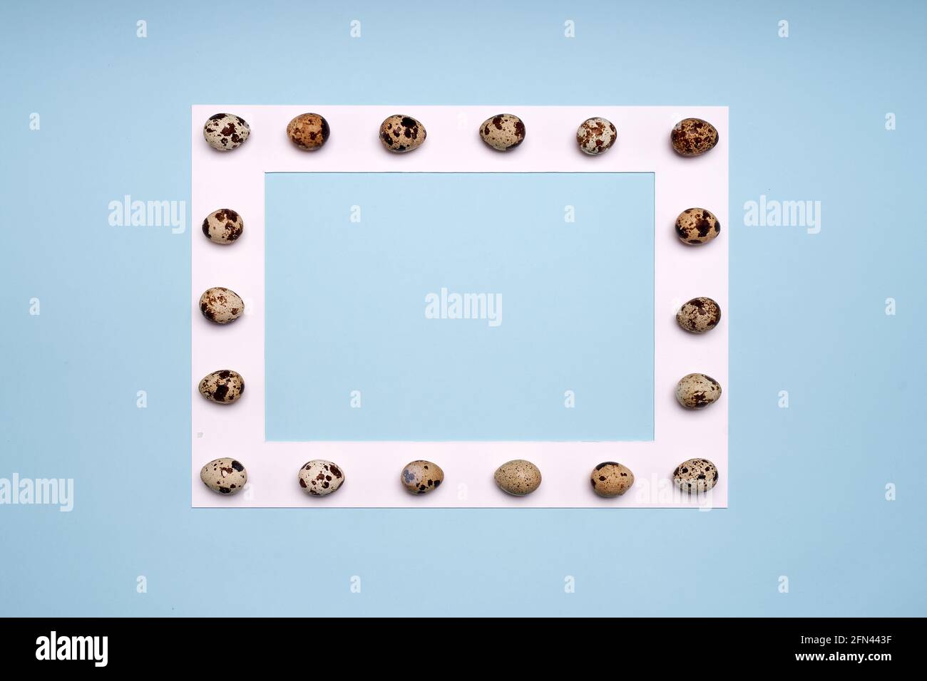 Wachteleier auf weißem Rahmen auf blauem Hintergrund Stockfoto
