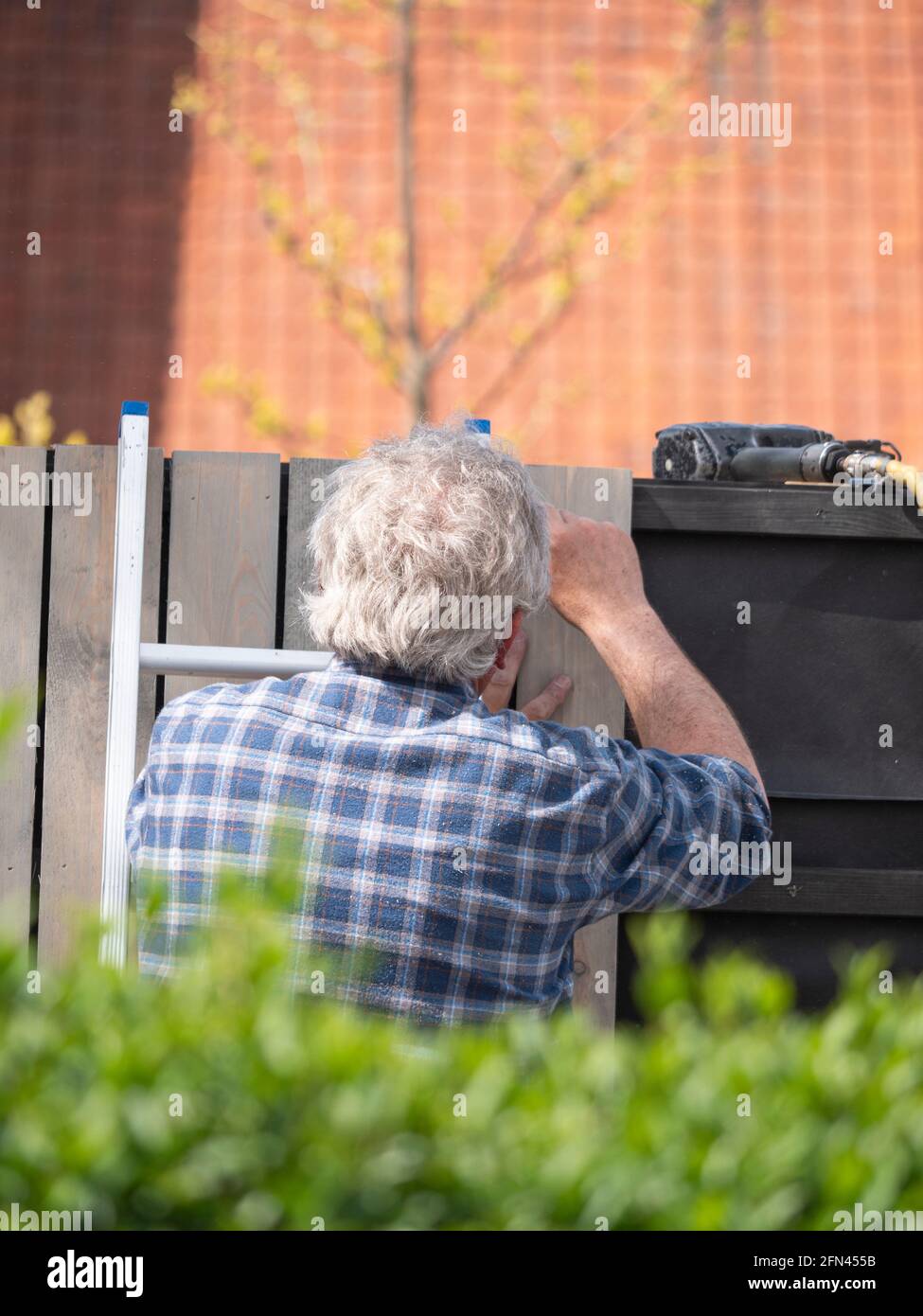 Älterer pensionierter Mann mit grauem Haar, der am Zaun arbeitete Seines Gartens Stockfoto