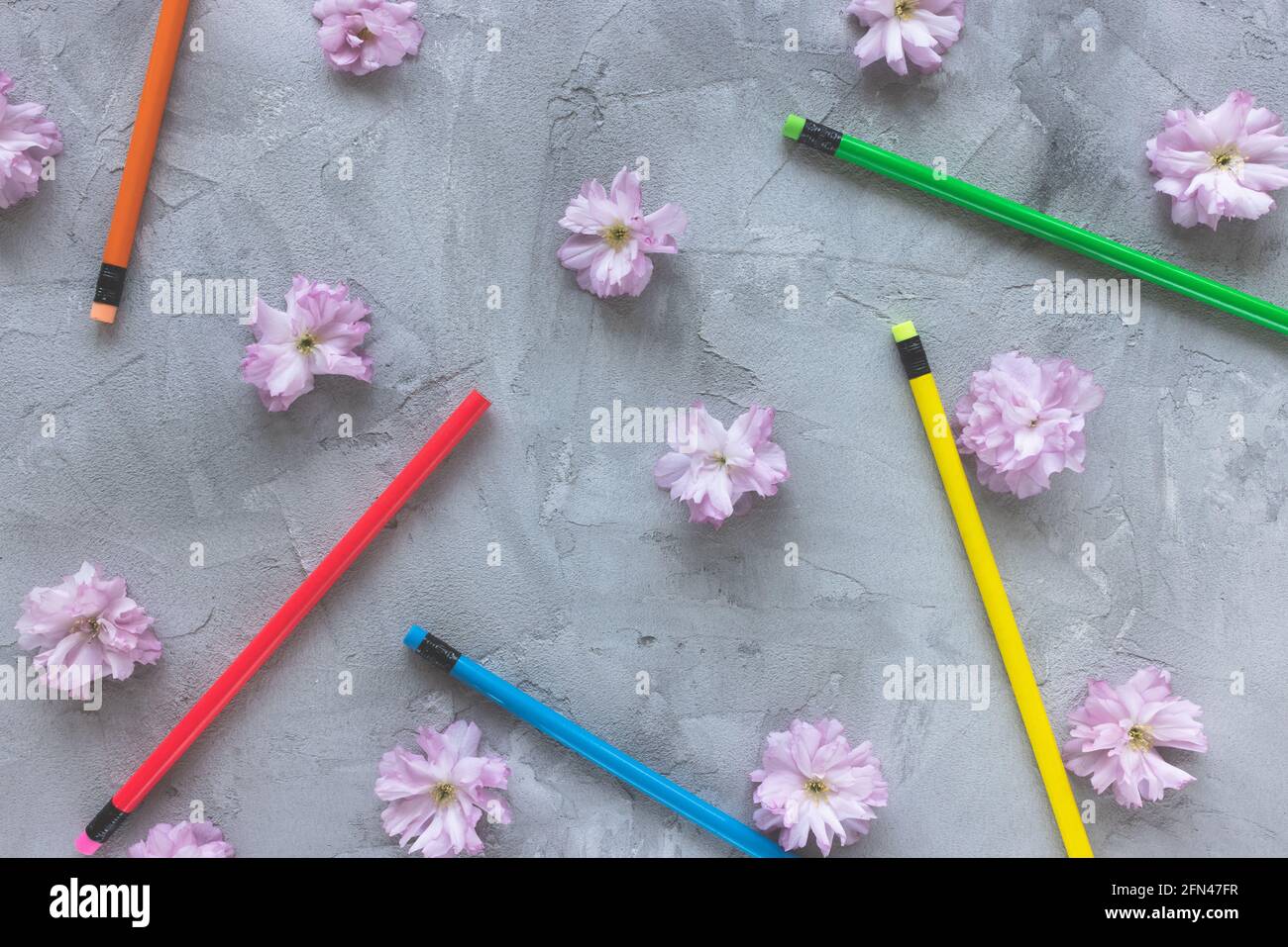 Bunte Bleistifte und Frühling- oder Sommerblumen Stockfoto