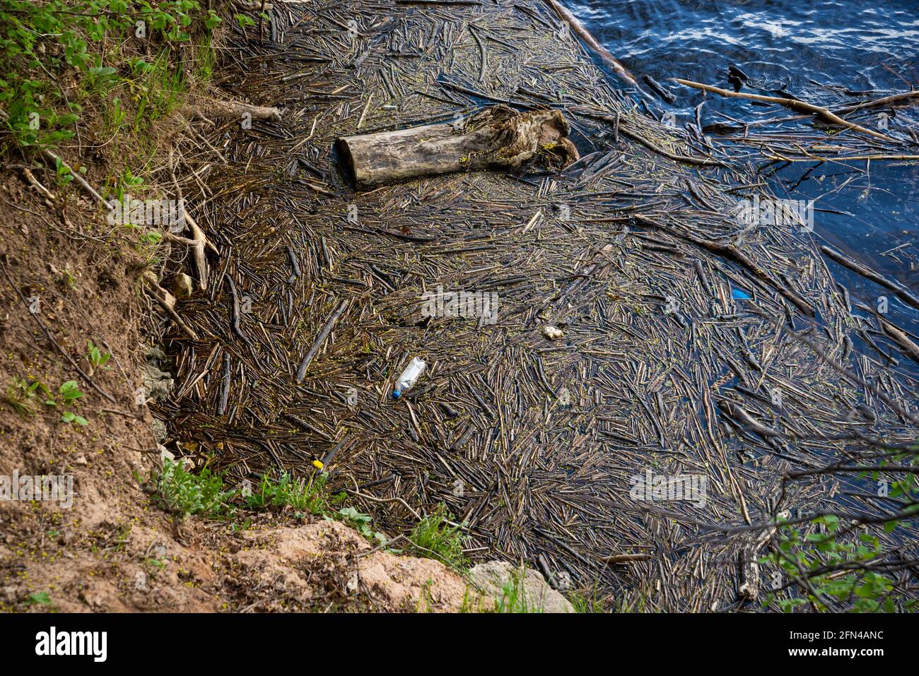 Angesammelter Haufen zerbrochener Äste am Flussufer. Plastikflasche im Fluss. Schmutzige Natur. Stockfoto