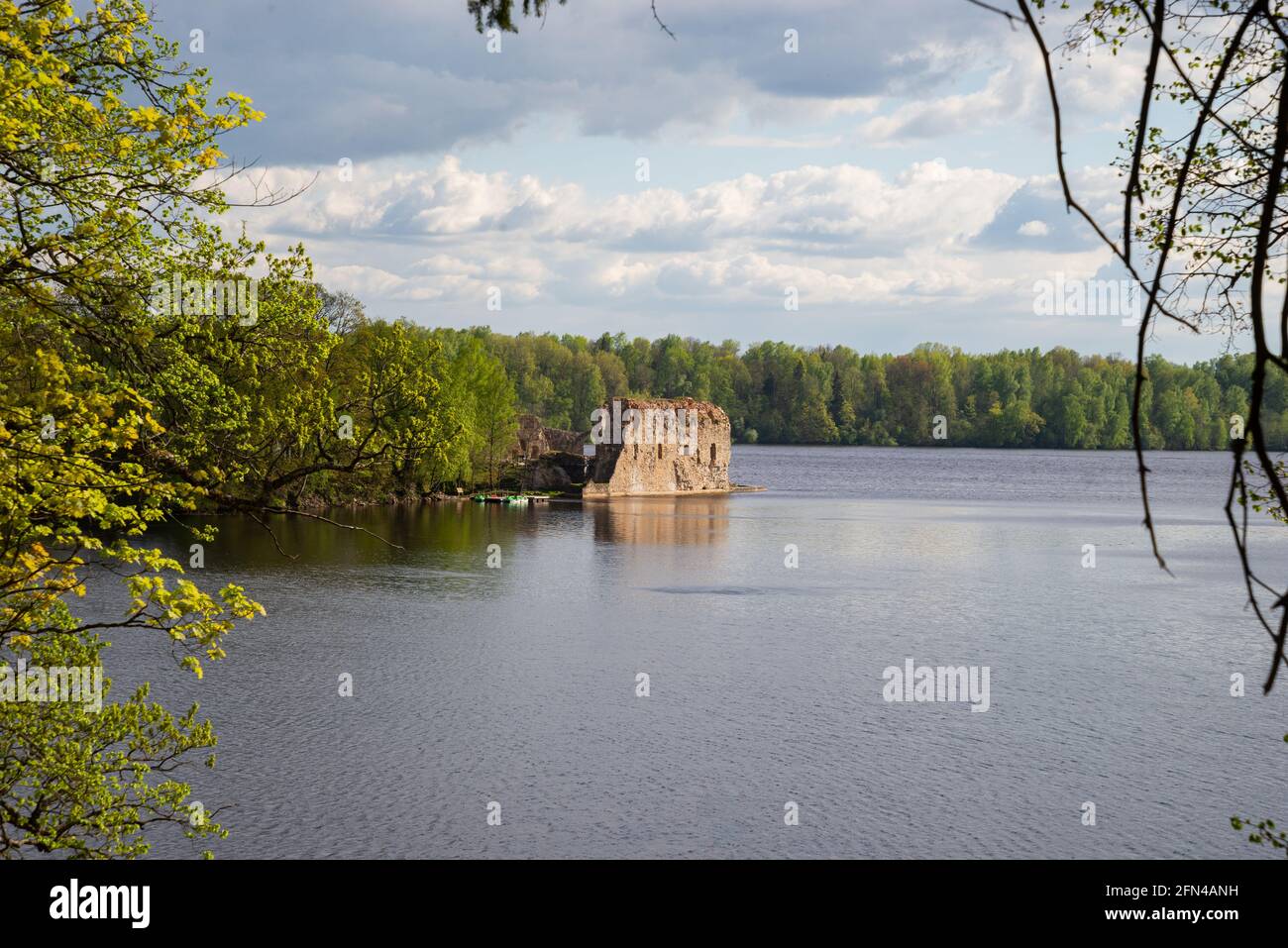 Landschaft auf die alte Burg. Burgruinen am Fluss neben einem Wald mit grünen Bäumen. Wolkiger Sommertag. Stockfoto