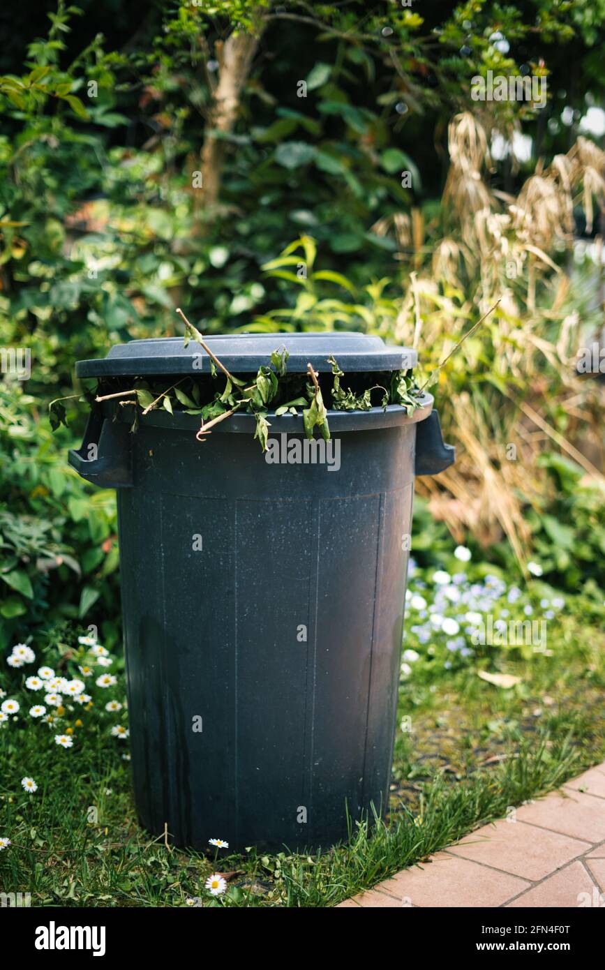 Volle Grünanlage in einem Garten. Grüner Deckelbehälter mit Ästen und Blättern, die herauskommen. Getrennte Sammlung und Bewirtschaftung von Gartenabfällen. Stockfoto