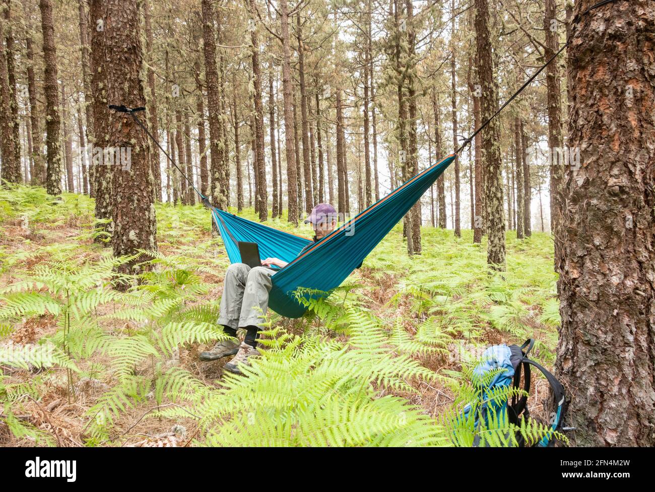 Reifer männlicher Wanderer, der Laptop in der Hängematte im Wald verwendet. Mögliche Einsatzbereiche: Reisen/Remote Working/Adventure/Digital Nomad/Shinrin Yoku Concept Image Stockfoto