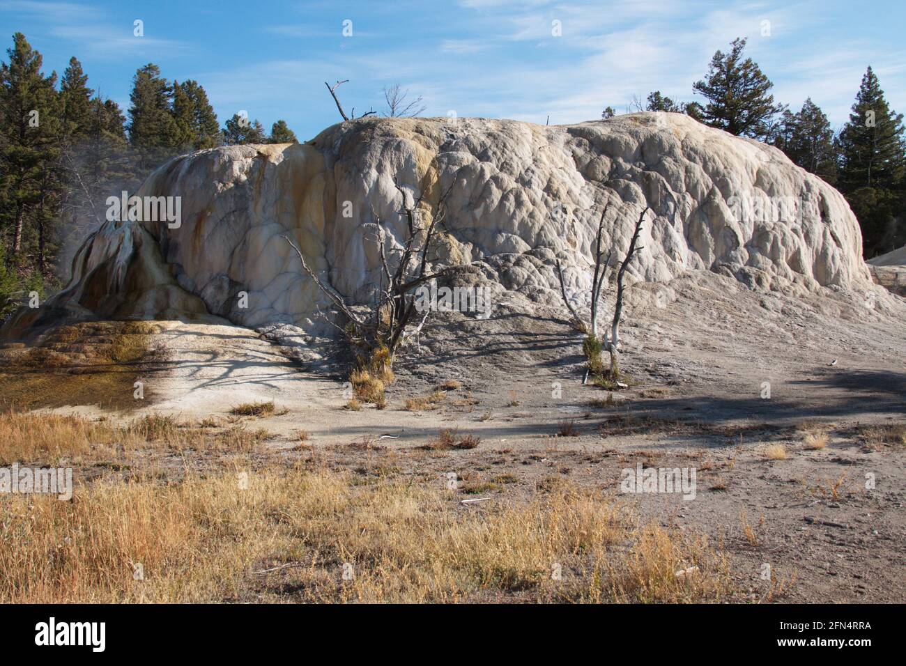 Obere Terrassen bei Mammoth Hot Springs im Yellowstone National Park In Wyoming in den USA Stockfoto
