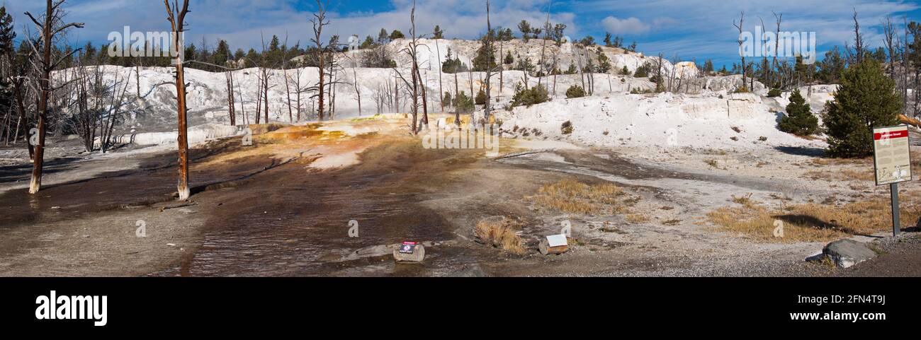 Obere Terrassen bei Mammoth Hot Springs im Yellowstone National Park In Wyoming in den USA Stockfoto