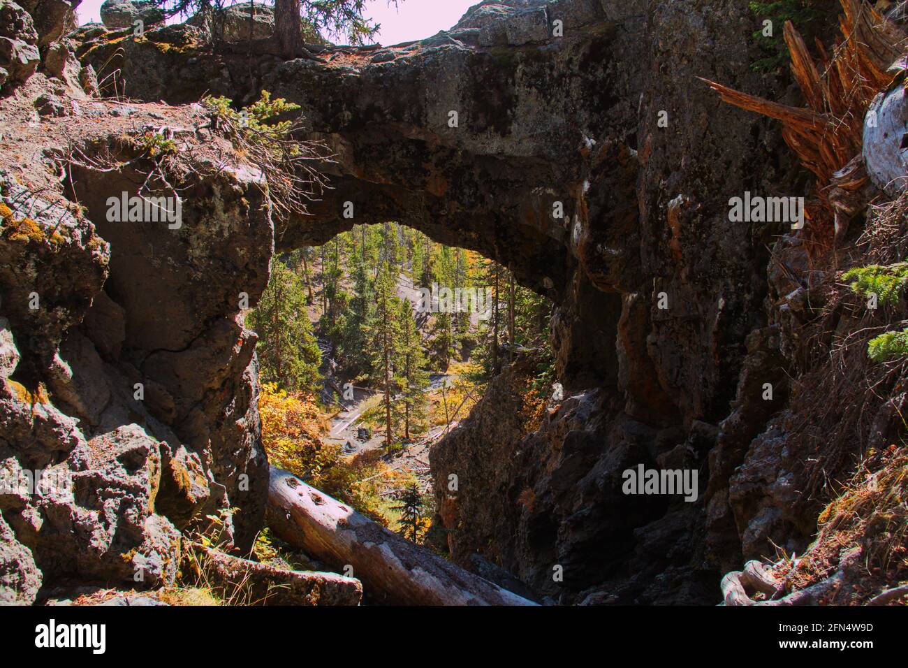 Natural Bridge im Yellowstone National Park in Wyoming in der USA Stockfoto