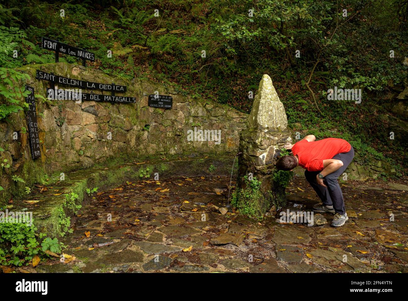 Brunnen Nàiades, in der Nähe des Campingplatzes Les Illes (Montseny, Katalonien, Spanien) ESP: Fuente de las Nàiades, cerca del camping Les Illes (Montseny, Cataluña) Stockfoto