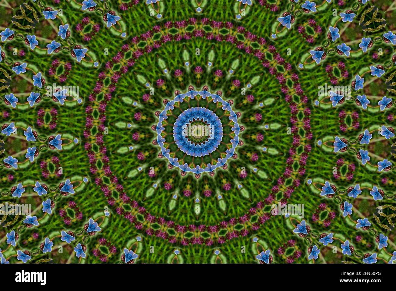 Kaleidoskop grün abstraktes Muster Hintergrund der blauen Schmetterlinge, Stock Foto Bild Stockfoto