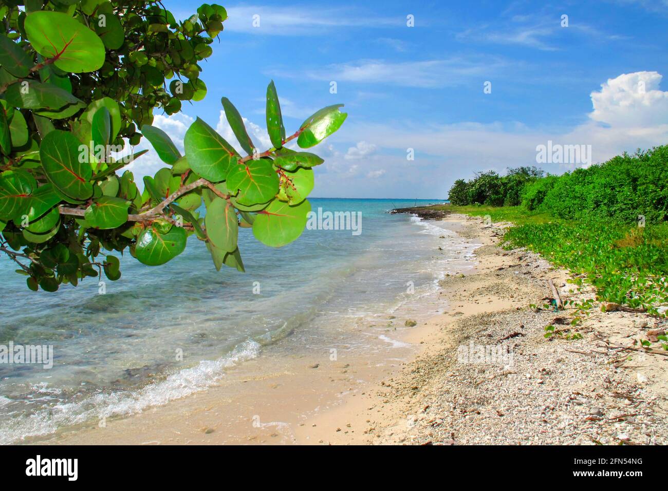 Strandlandschaft, Karibisches Meer, Playa Giron, Kuba, Amerika Stockfoto