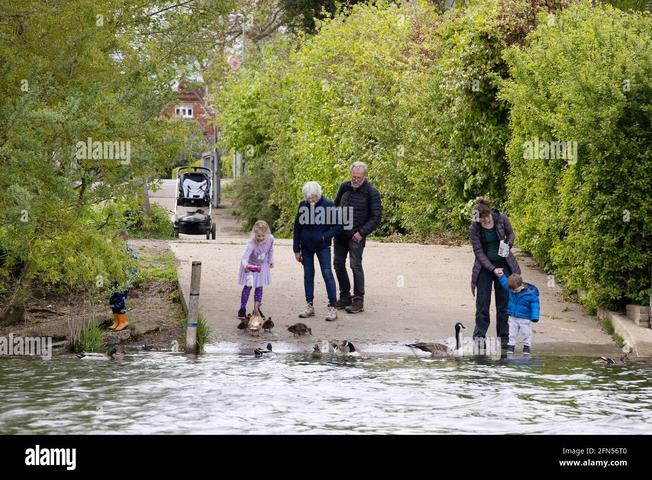 Familie UK, drei Generationen einer Familie, die im Sommer Enten und Gänse auf der Themse in Wallingford Oxfordshire füttert. Familie mit mehreren Generationen Stockfoto