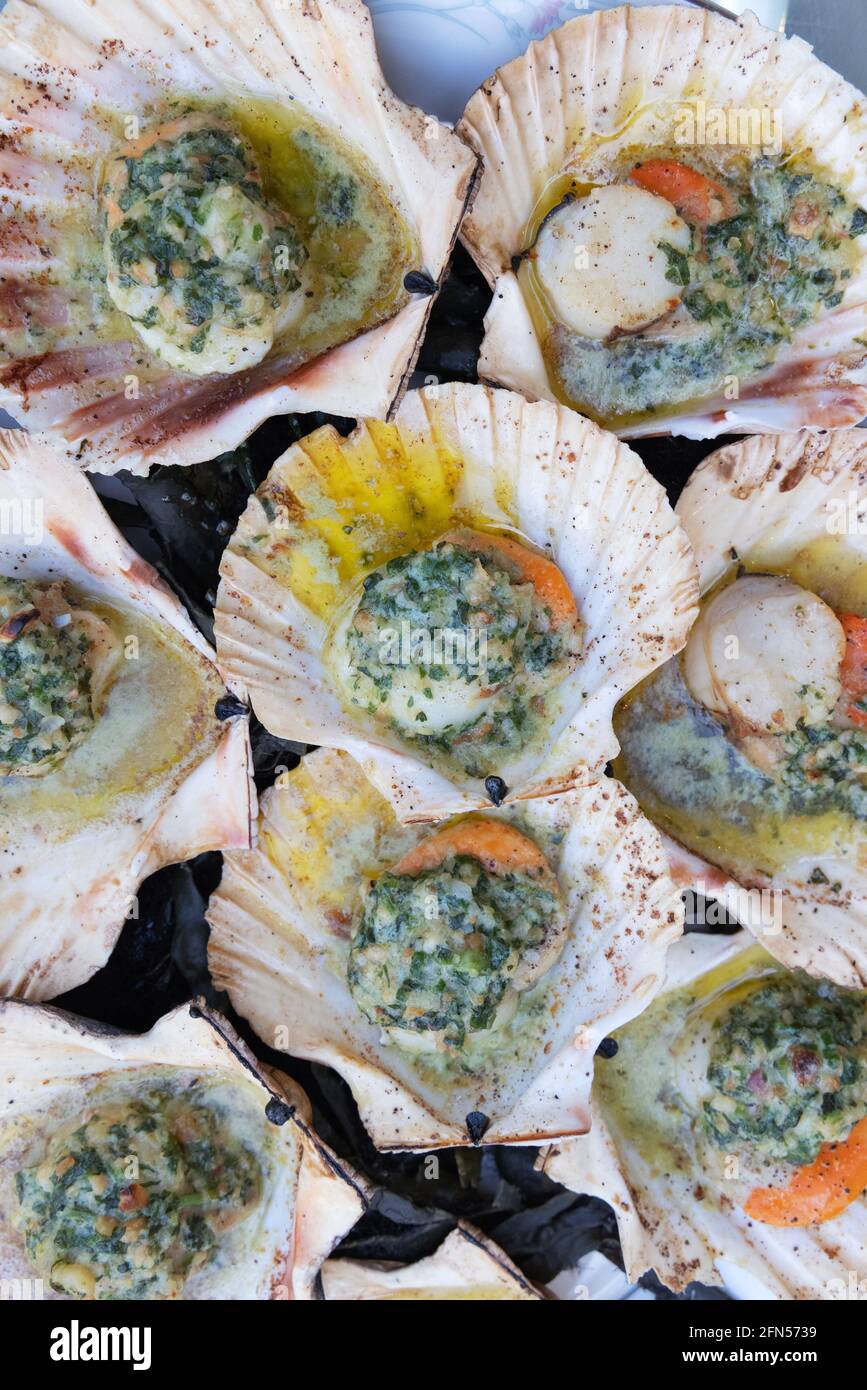 Gegrillte Jakobsmuscheln in ihren Muscheln werden als Vorspeise auf einem Bone-china-Teller serviert; mit Butter, Haselnüssen und Kräutern - Meeresfrüchte werden in Großbritannien serviert Stockfoto