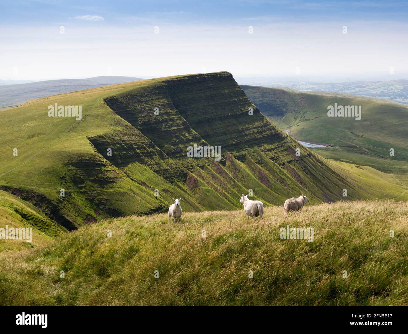 Picws du auf der Anhöhe der Carmarthen Fans von Fan Foel im Bannau Brycheiniog (Brecon Beacons) National Park, Carmarthenshire, Südwales. Stockfoto