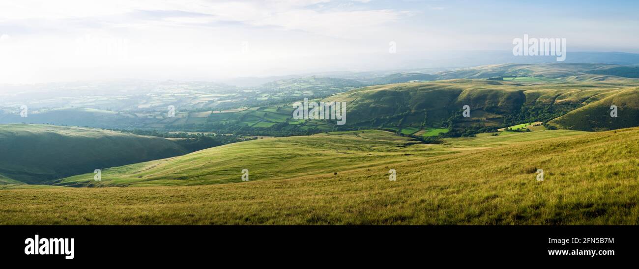 Die sanften Hügel von Carmarthenshire im Sommer von Waun Lefrith im Bannau Brycheiniog (Brecon Beacons) National Park, Südwales. Stockfoto