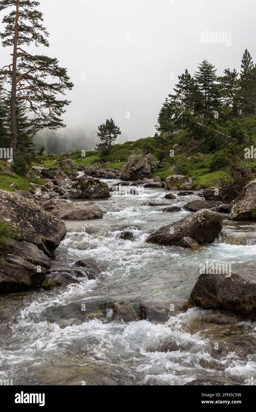 Auf einem Gebirgsbach in den französischen Pyrénées davor Begann zu regnen Stockfoto