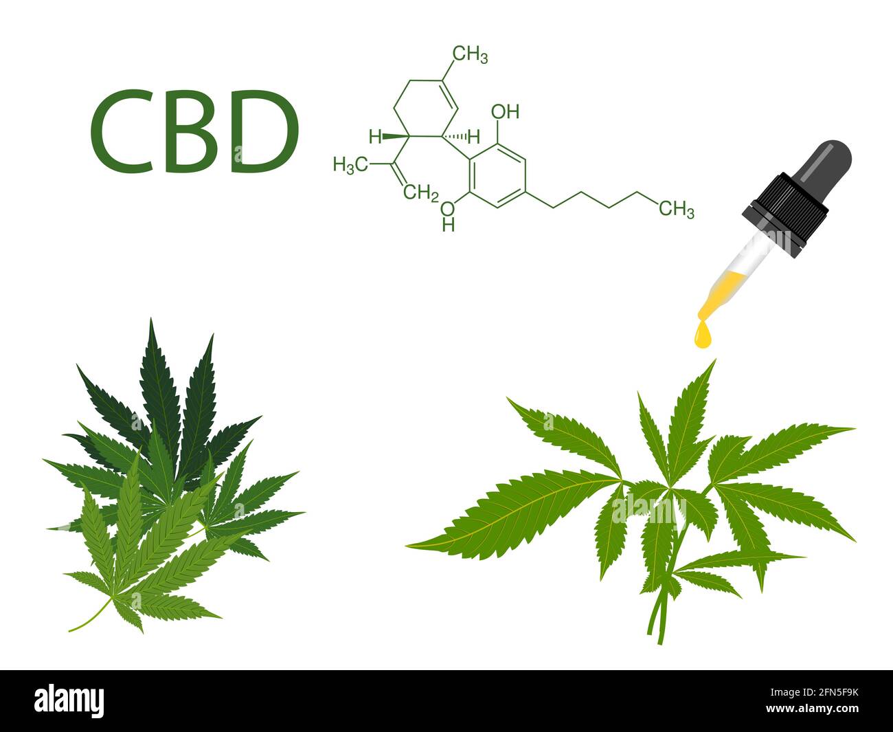 CBD-Hanföl mit grünen medizinischen Marihuana-Blättern auf weißem Vektor-Hintergrund. Chemische Formel von Cannabidiol. Schönes Banner von grünem Cannabis Flowe Stock Vektor