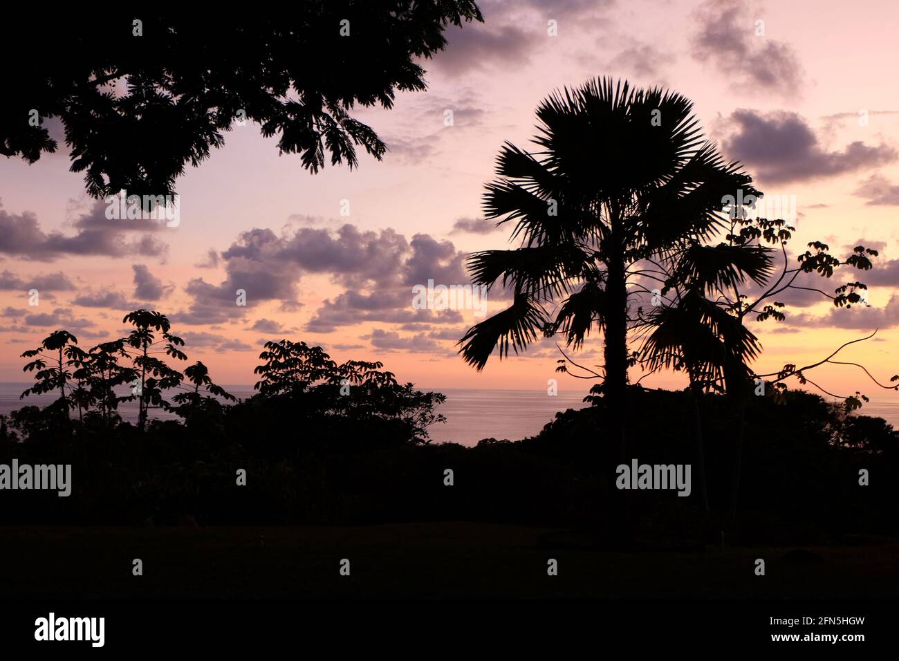 Sonnenuntergang über dem Pazifik mit costaricanischen Palmen, die vor einem wolkenbedeckten Himmel silhouettiert wurden. Stockfoto