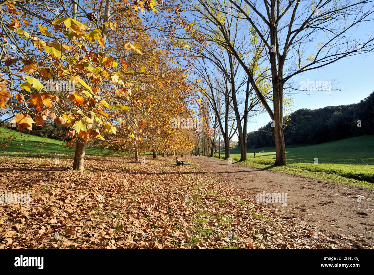 Italien, Rom, Villa Doria Pamphilj im Herbst Stockfoto