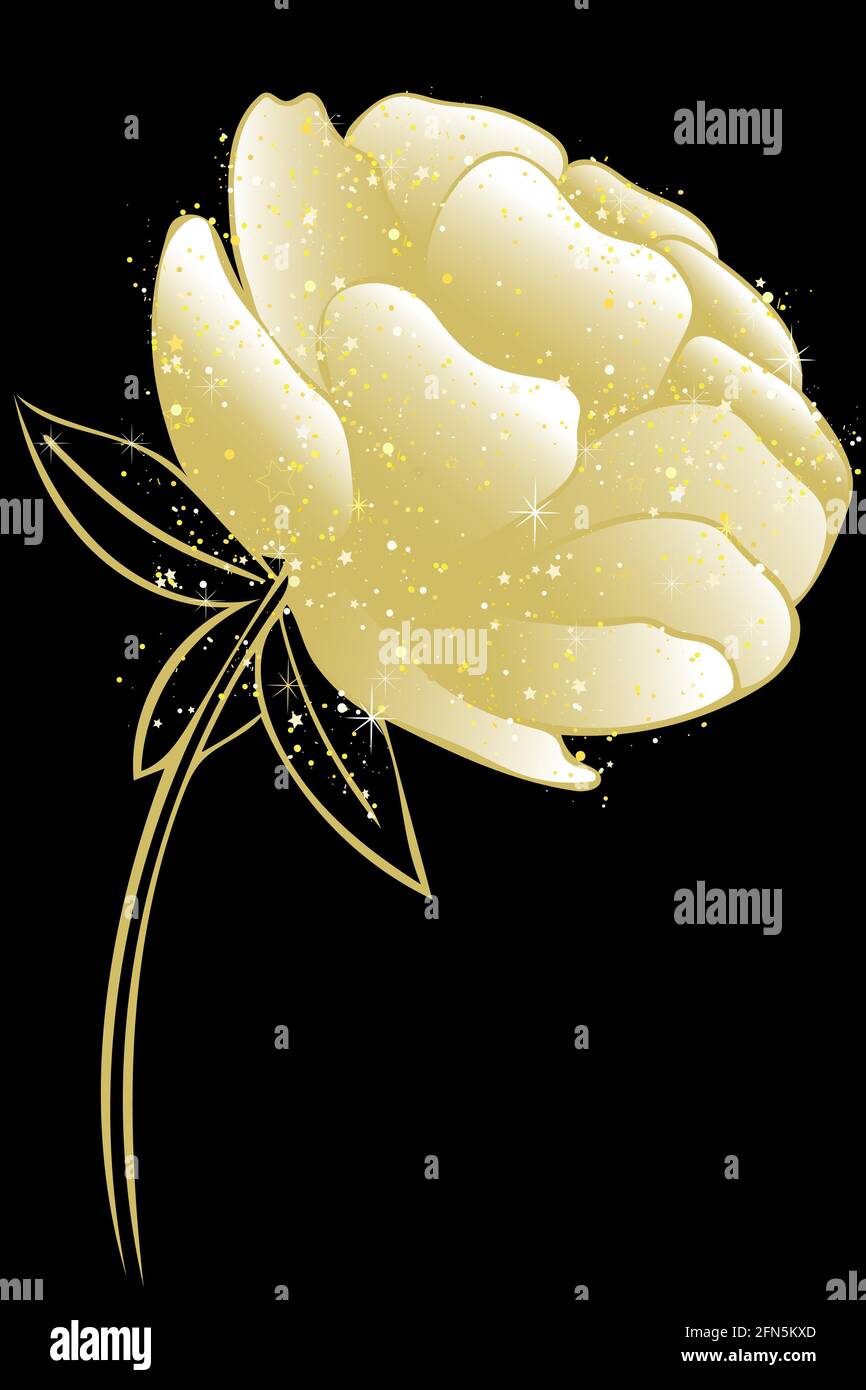 Pfingstrose, Vektor. Goldschimmernde Gartenblume. Üppige einzelne Pfingstrose. Goldpflanze auf schwarzem Hintergrund. Stock Vektor