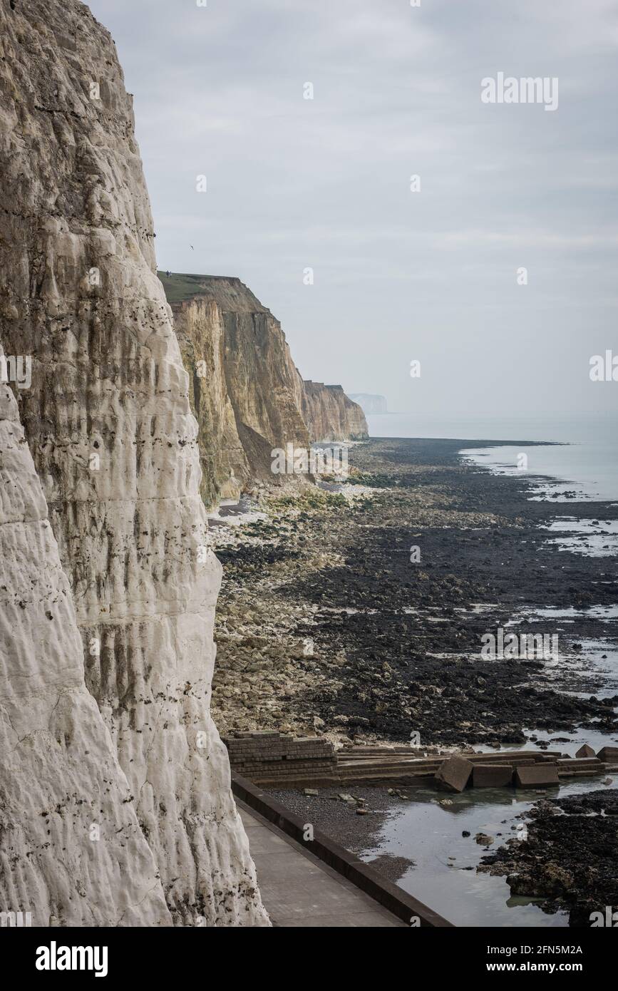 Die Kreidefelsen und Unterklippen zwischen Peacehaven und Newhaven in East Sussex, Großbritannien Stockfoto
